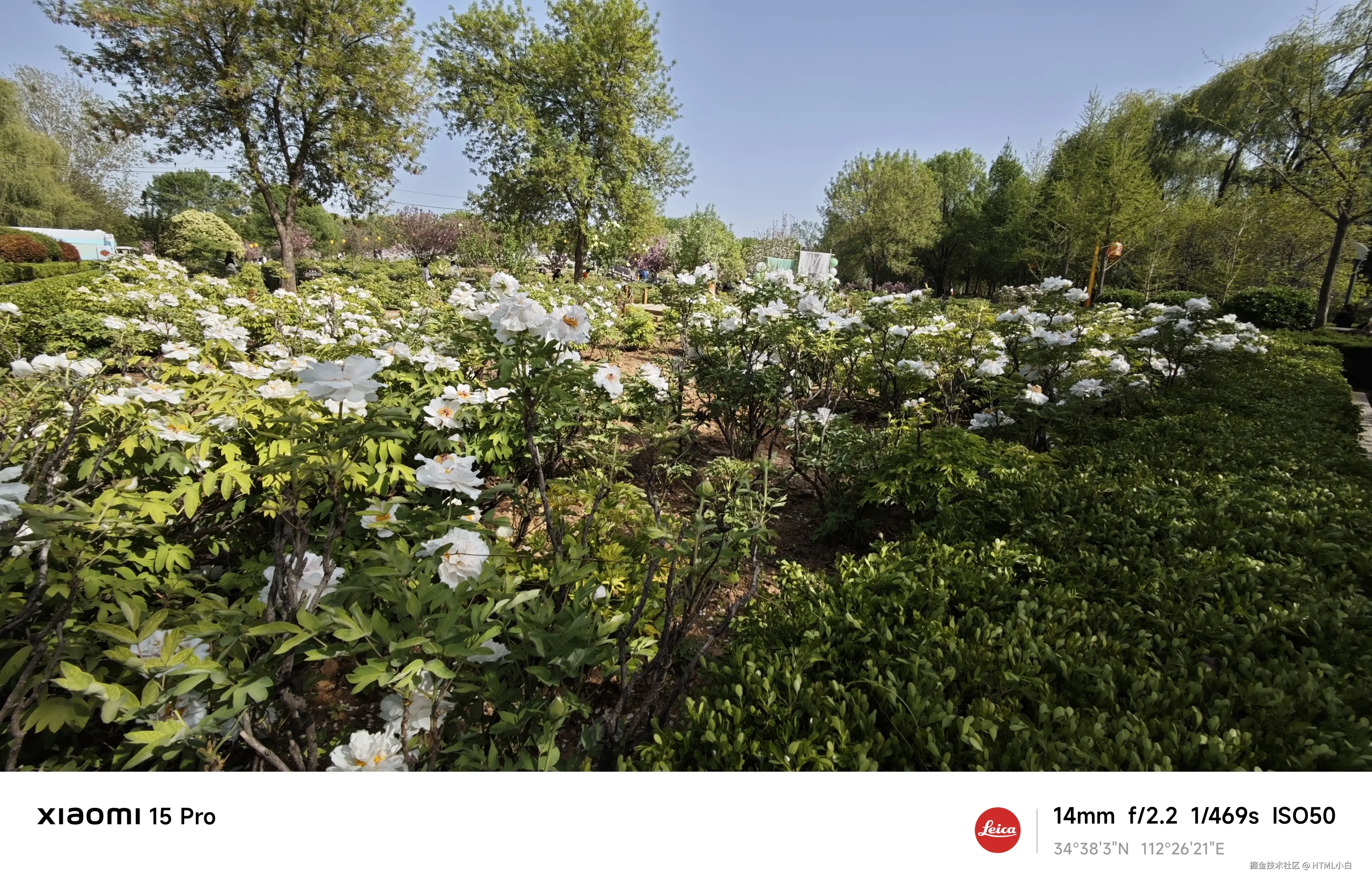 HTML小白于2025-04-07 17:27发布的图片