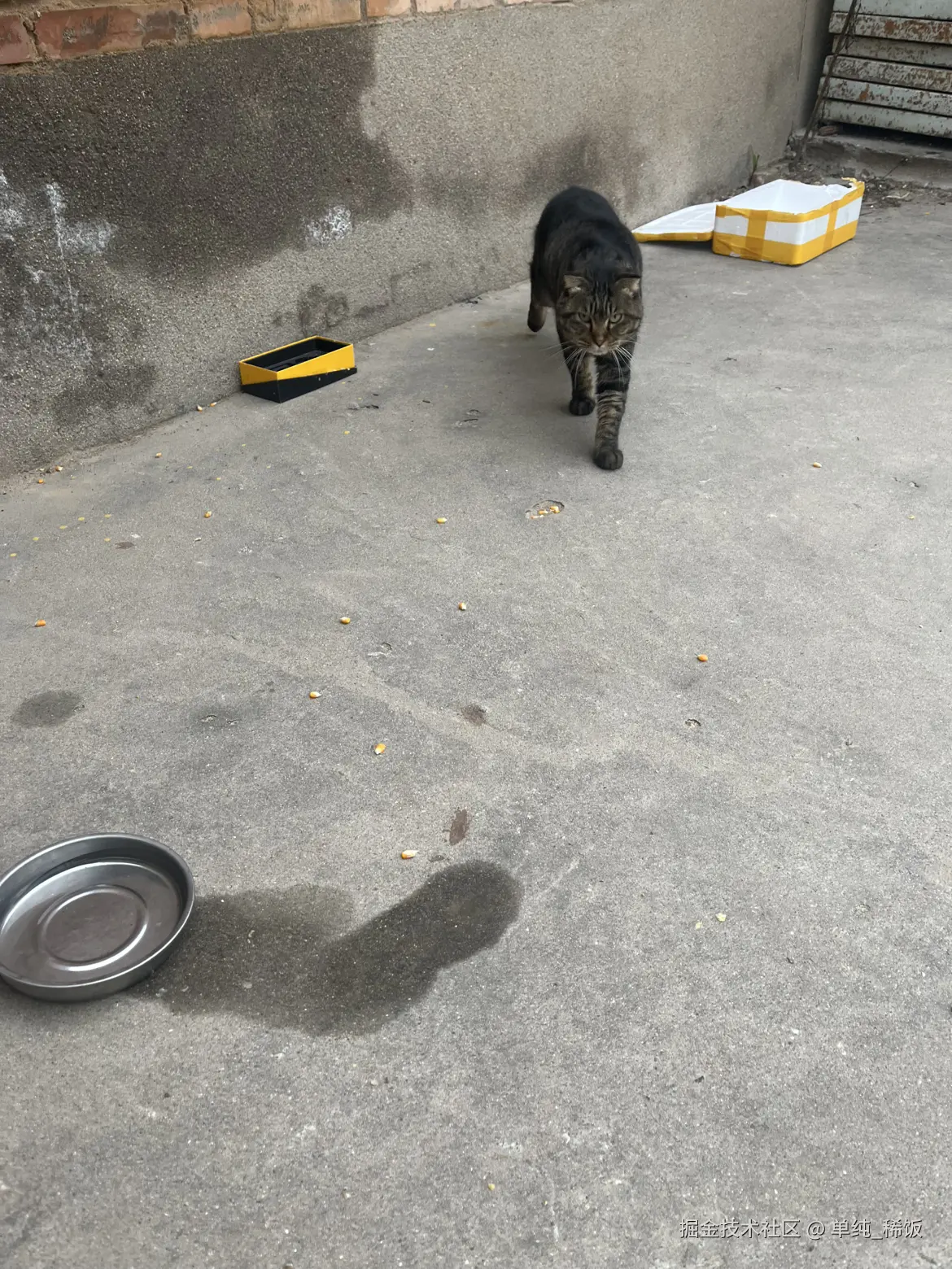 单纯_稀饭于2025-11-05 08:44发布的图片