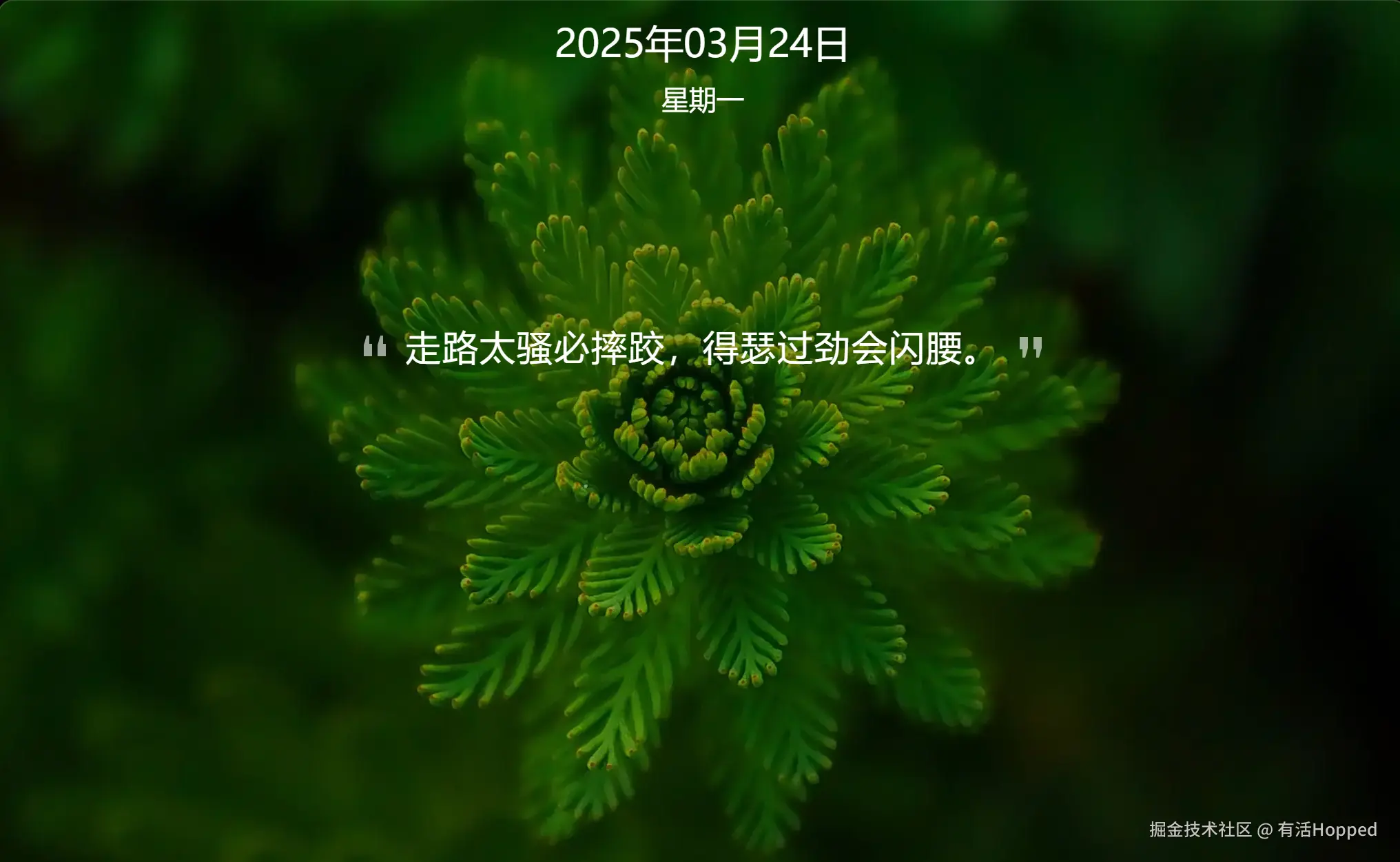有活Hopped于2025-03-24 11:48发布的图片