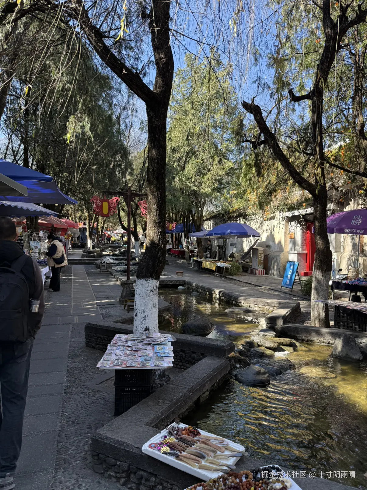 十寸阴雨晴于2026-01-23 17:17发布的图片