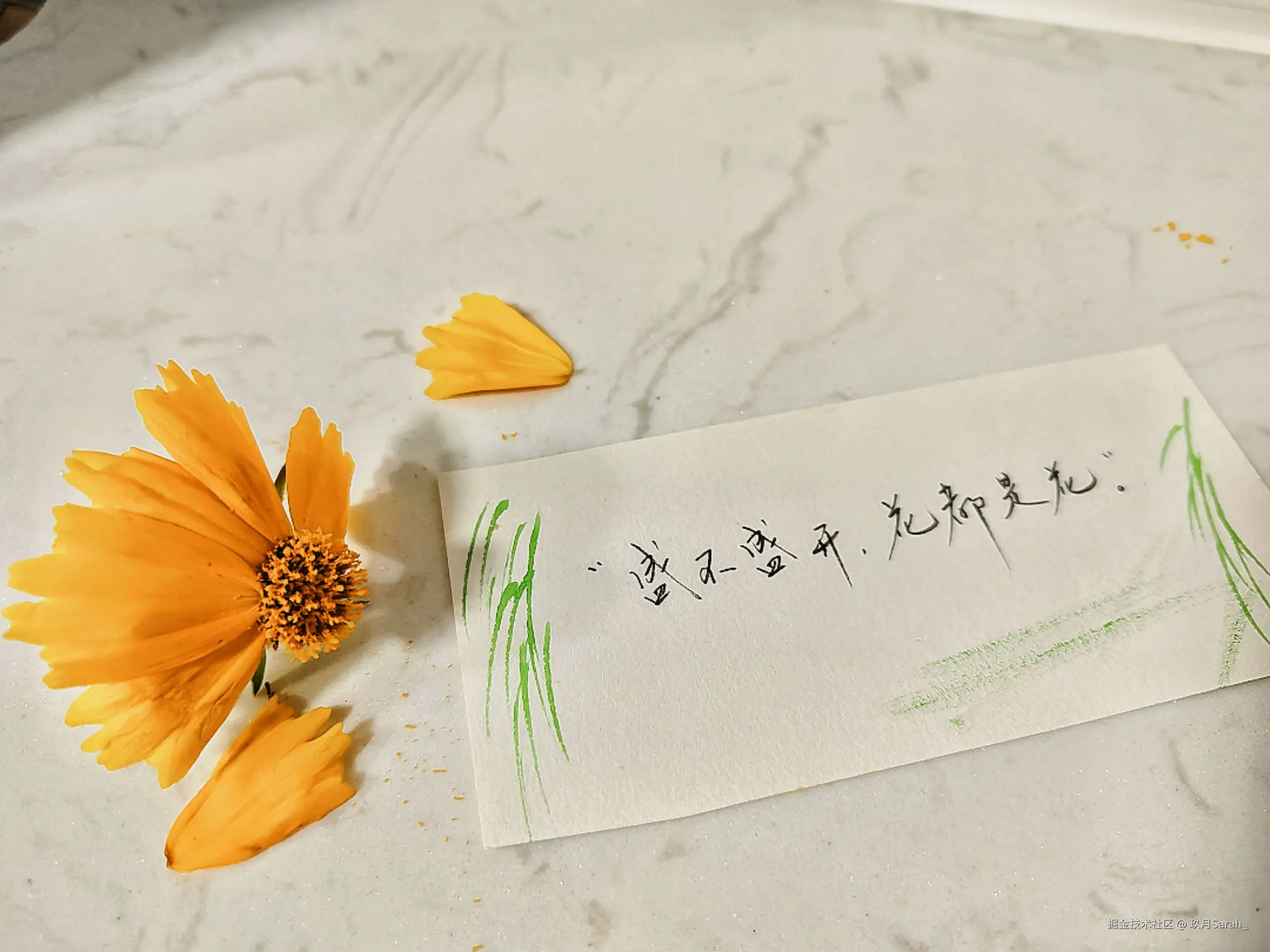 玖月Sarah_于2025-05-28 08:33发布的图片