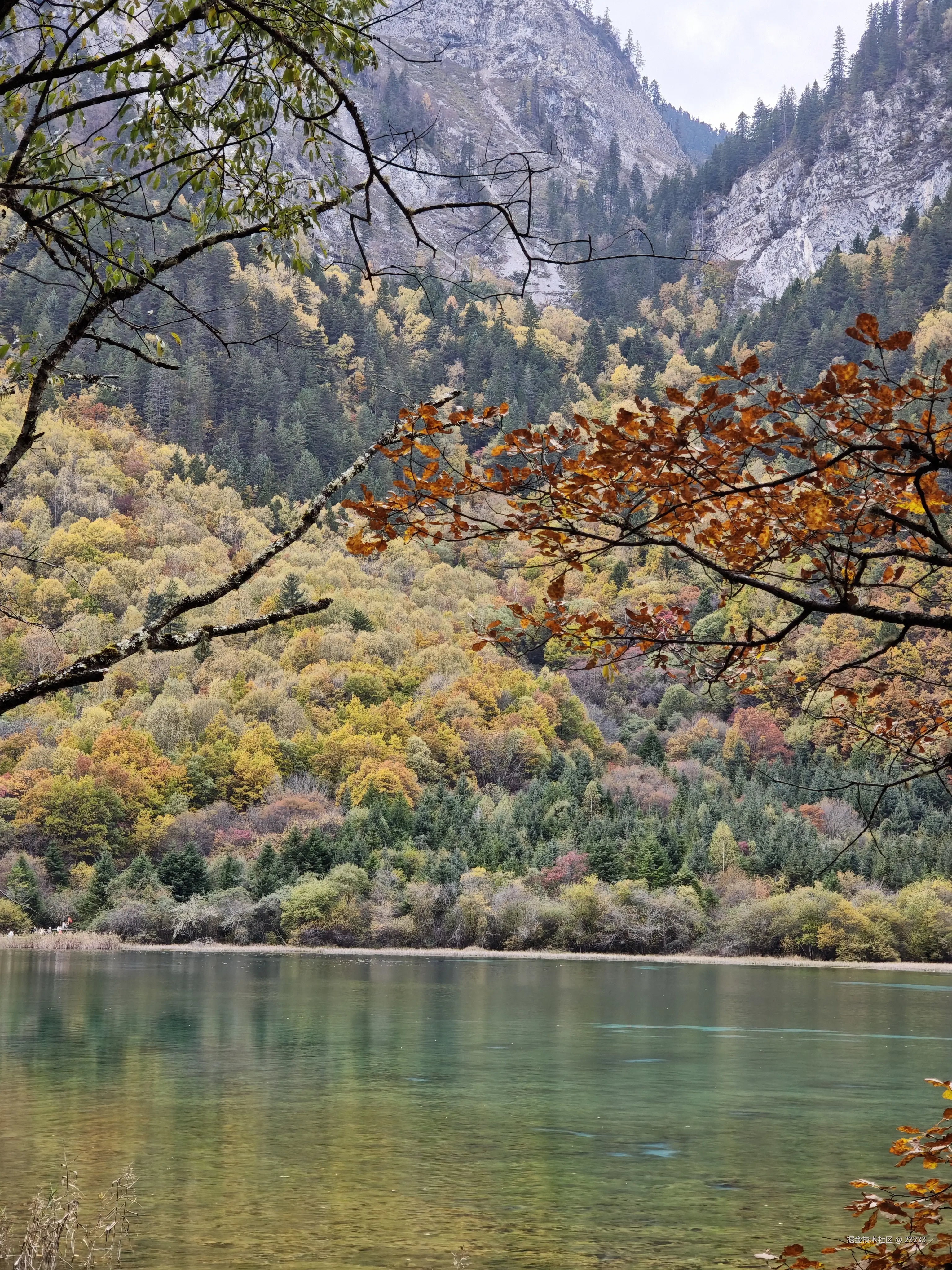 23233于2025-11-06 15:52发布的图片