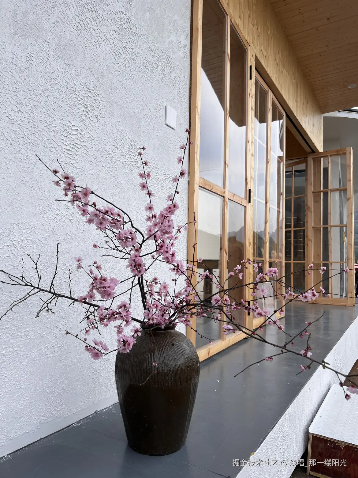 浅唱_那一缕阳光于2026-03-09 10:07发布的图片