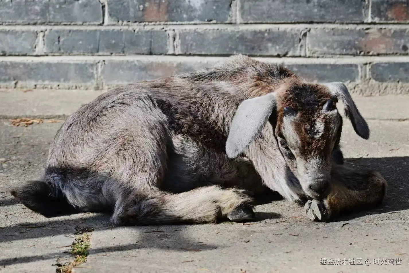 时光离世于2025-12-01 10:34发布的图片