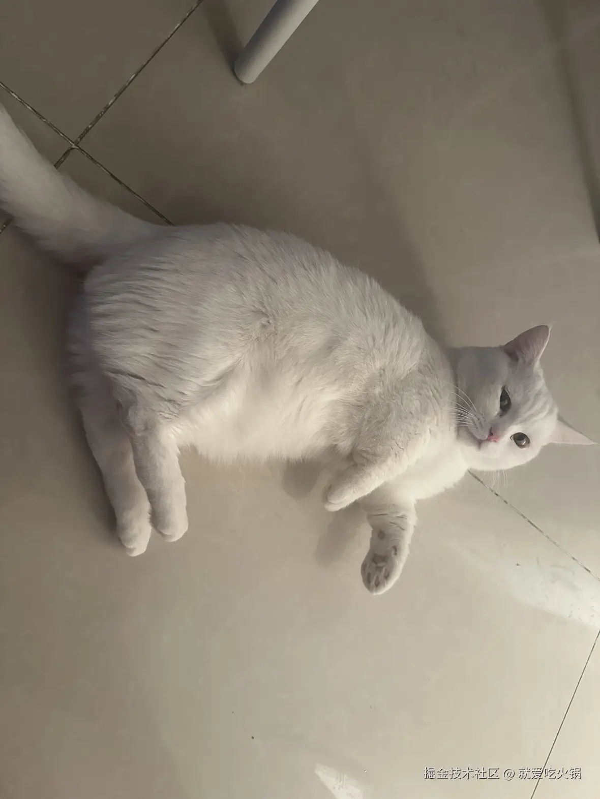 就爱吃火锅于2025-12-12 07:20发布的图片