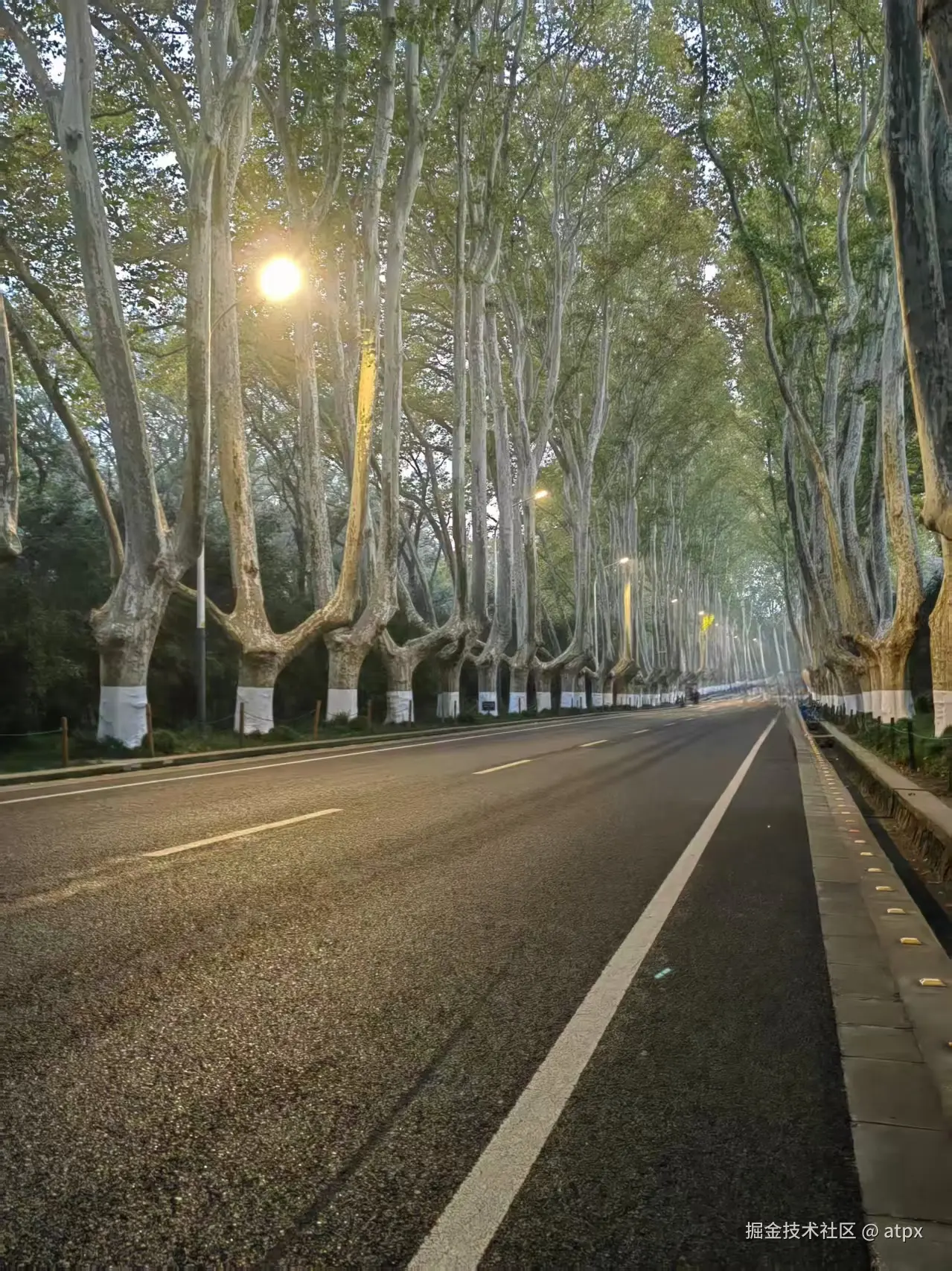 atpx于2025-11-17 10:03发布的图片