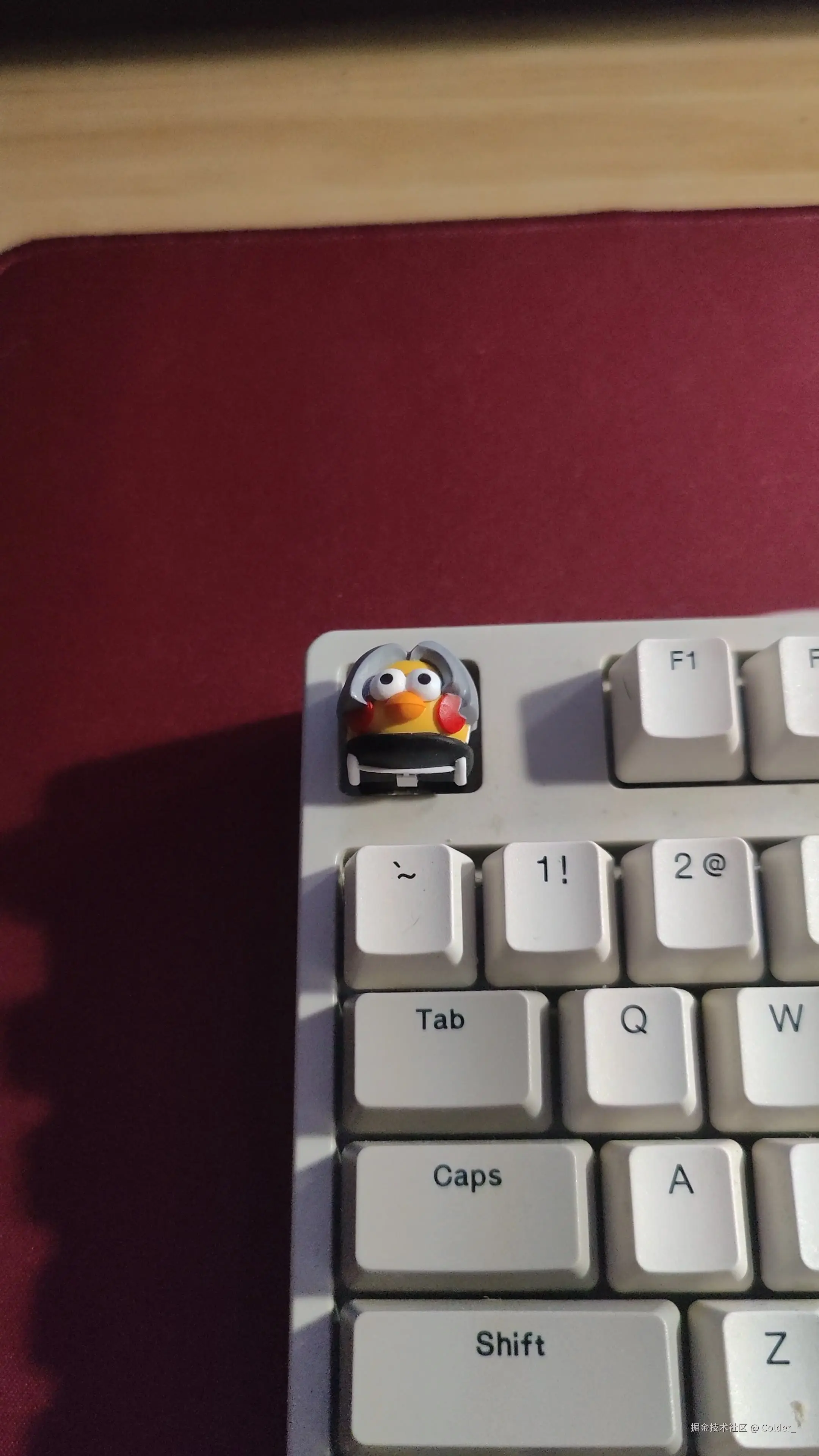 Colder_于2025-08-08 11:09发布的图片