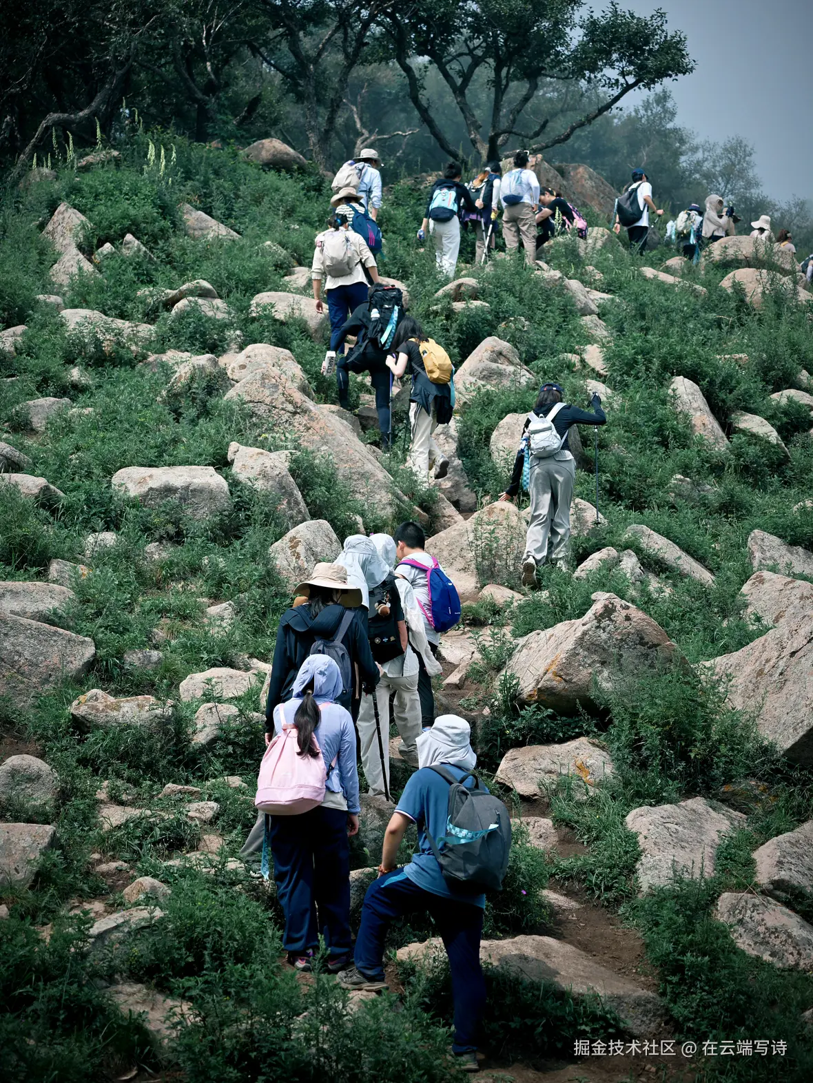 在云端写诗于2025-08-04 10:49发布的图片