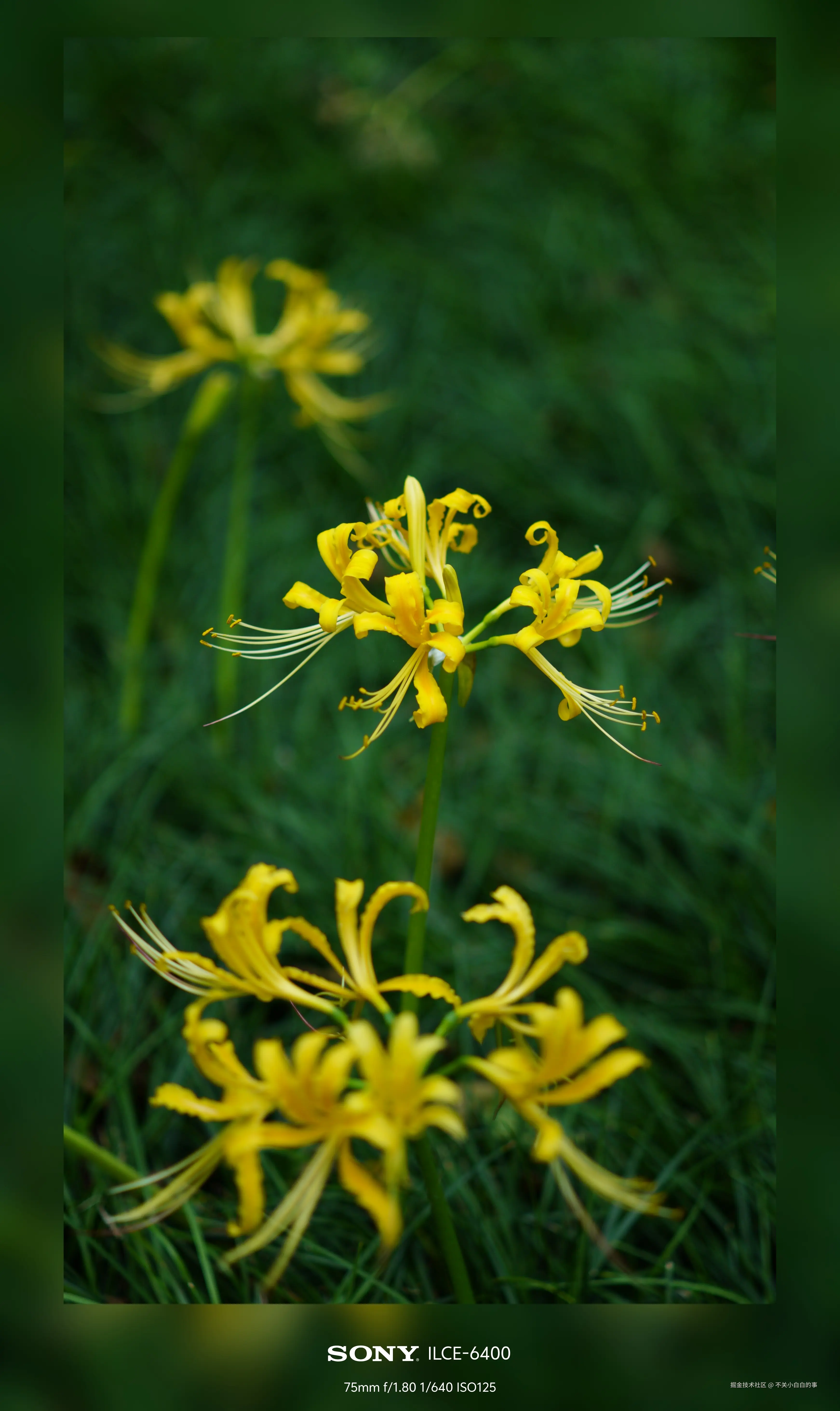 不关小白白的事于2024-10-08 14:03发布的图片