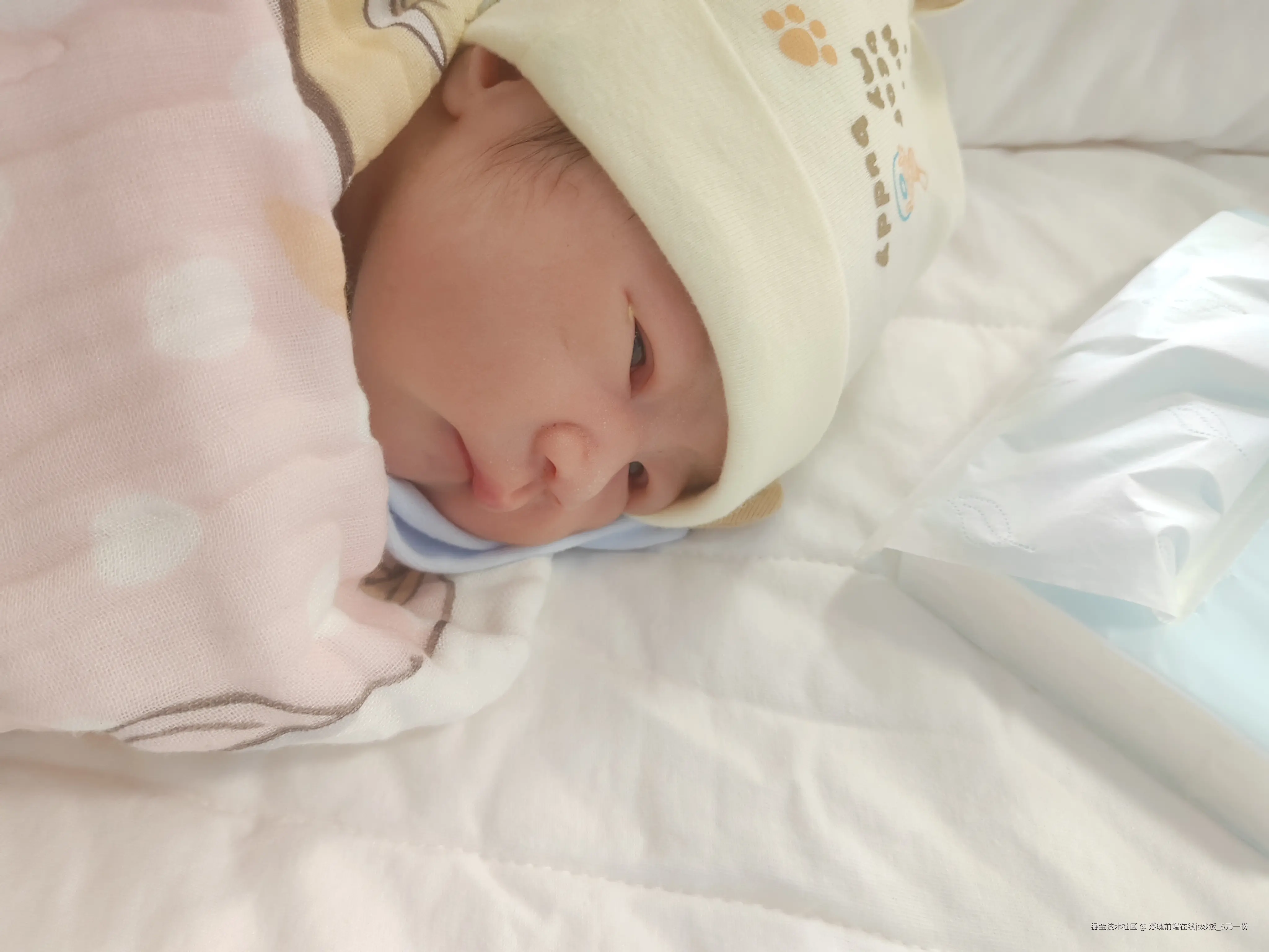 落魄前端在线js炒饭_5元一份于2026-05-28 11:19发布的图片