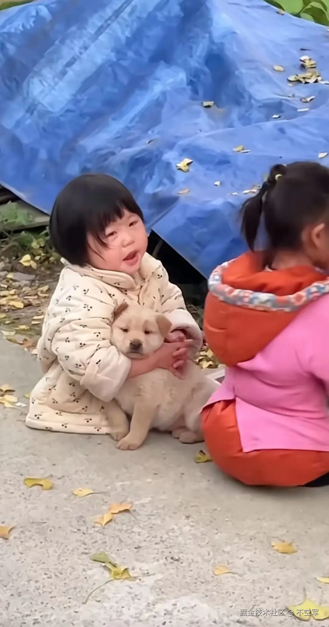 不空军于2024-07-17 11:47发布的图片