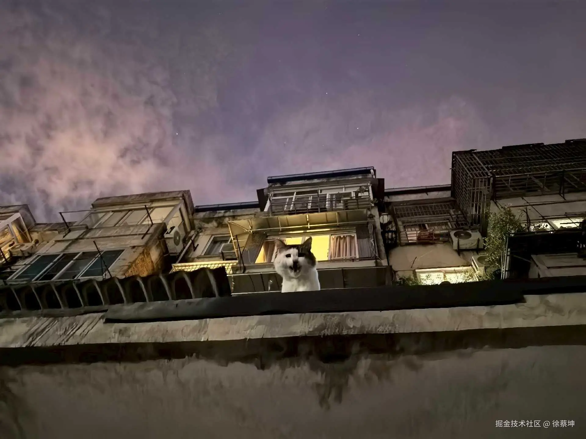 徐蔡坤于2025-09-25 10:45发布的图片