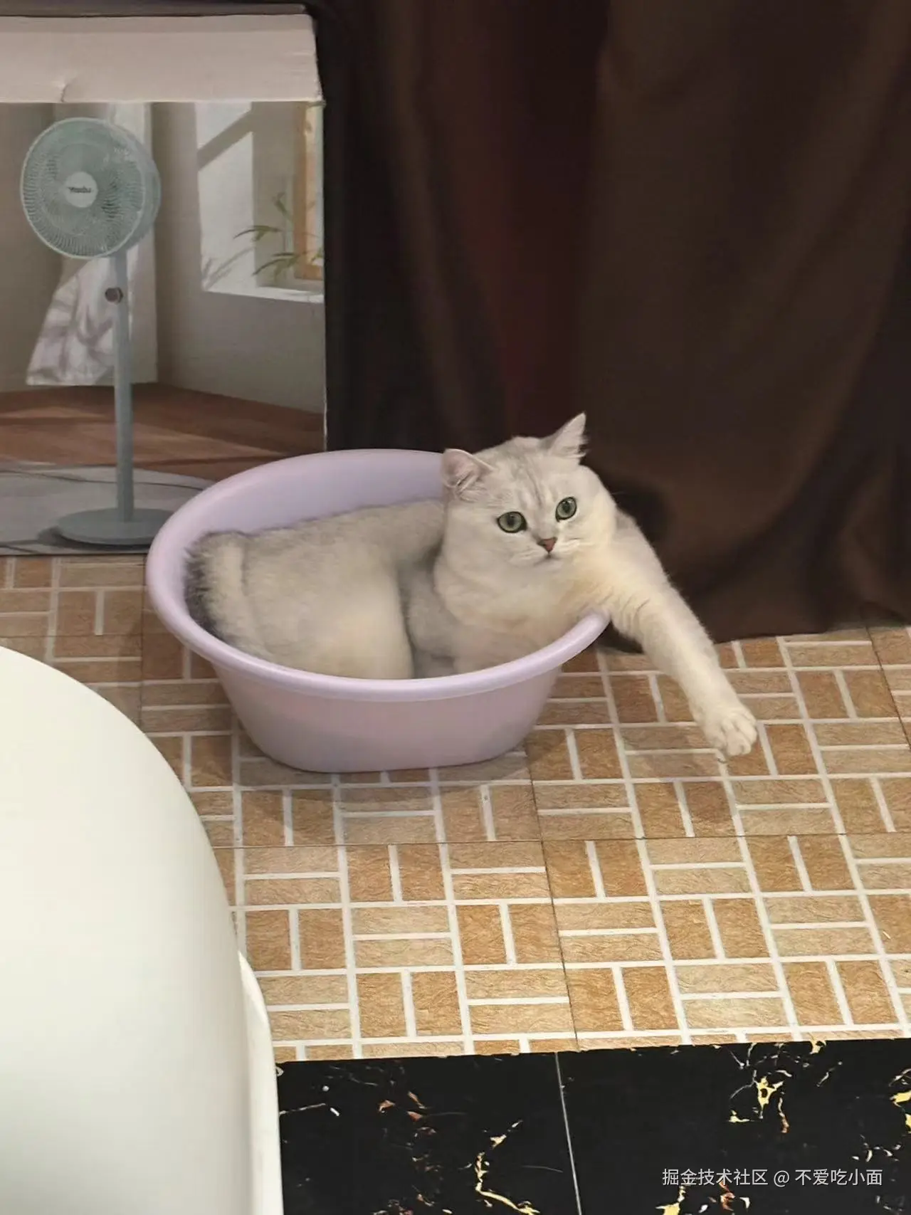 不爱吃小面于2024-09-09 20:10发布的图片