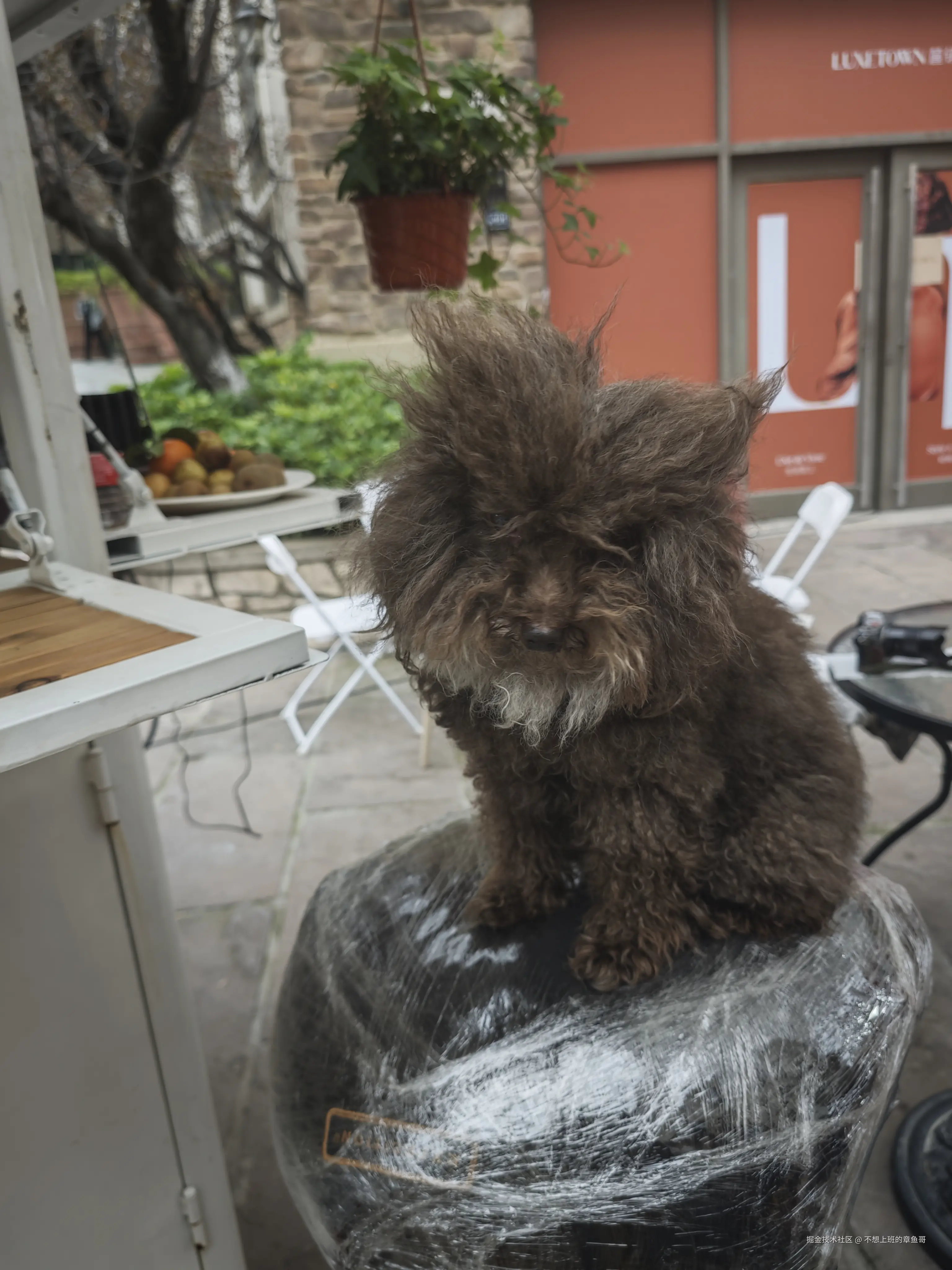 不想上班的章鱼哥于2025-04-21 09:15发布的图片