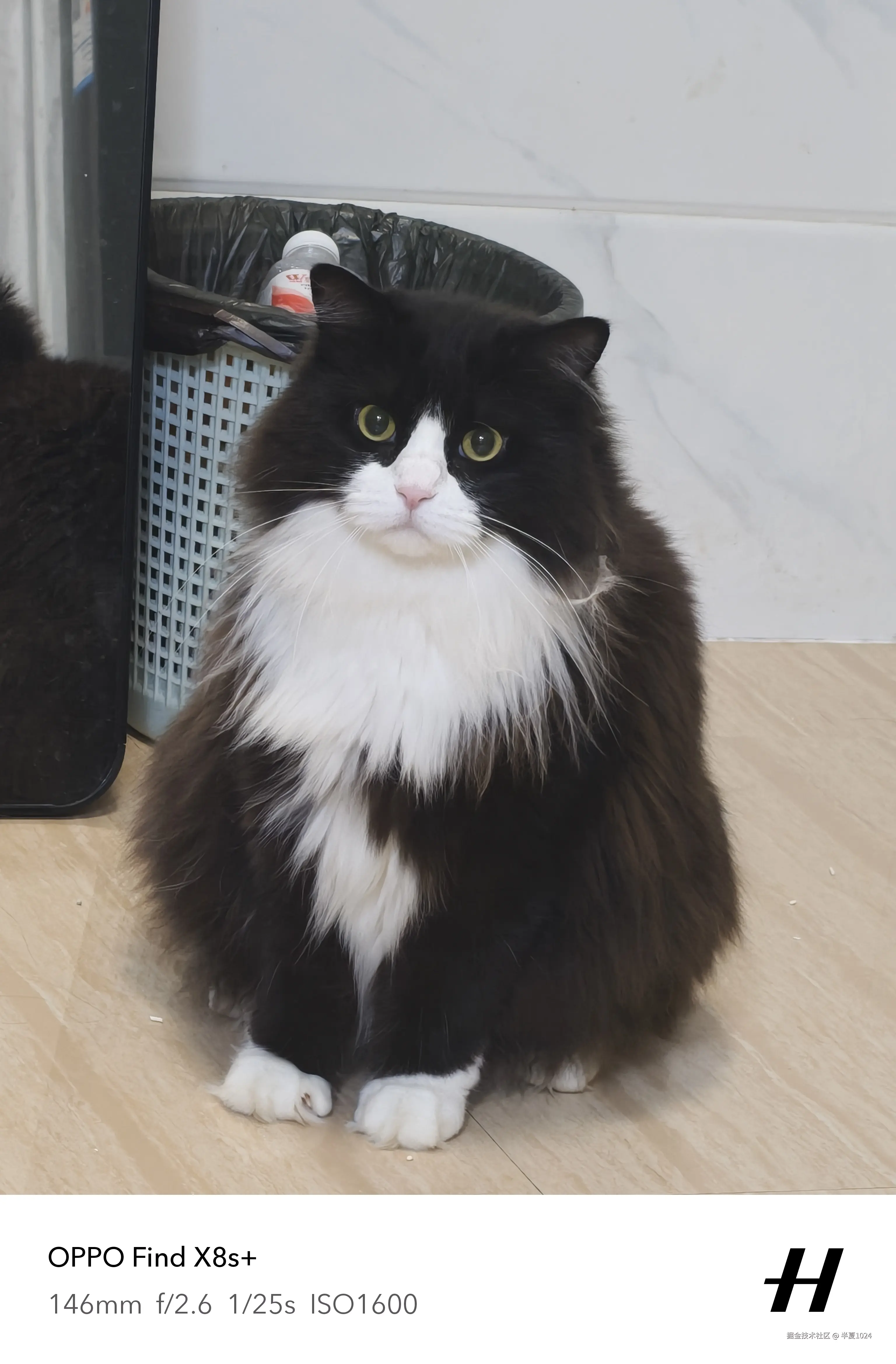 半夏1024于2025-07-02 15:38发布的图片