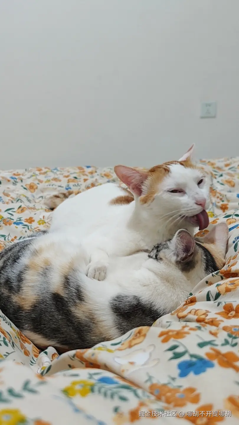 哪胡不开提哪胡于2025-04-18 09:45发布的图片