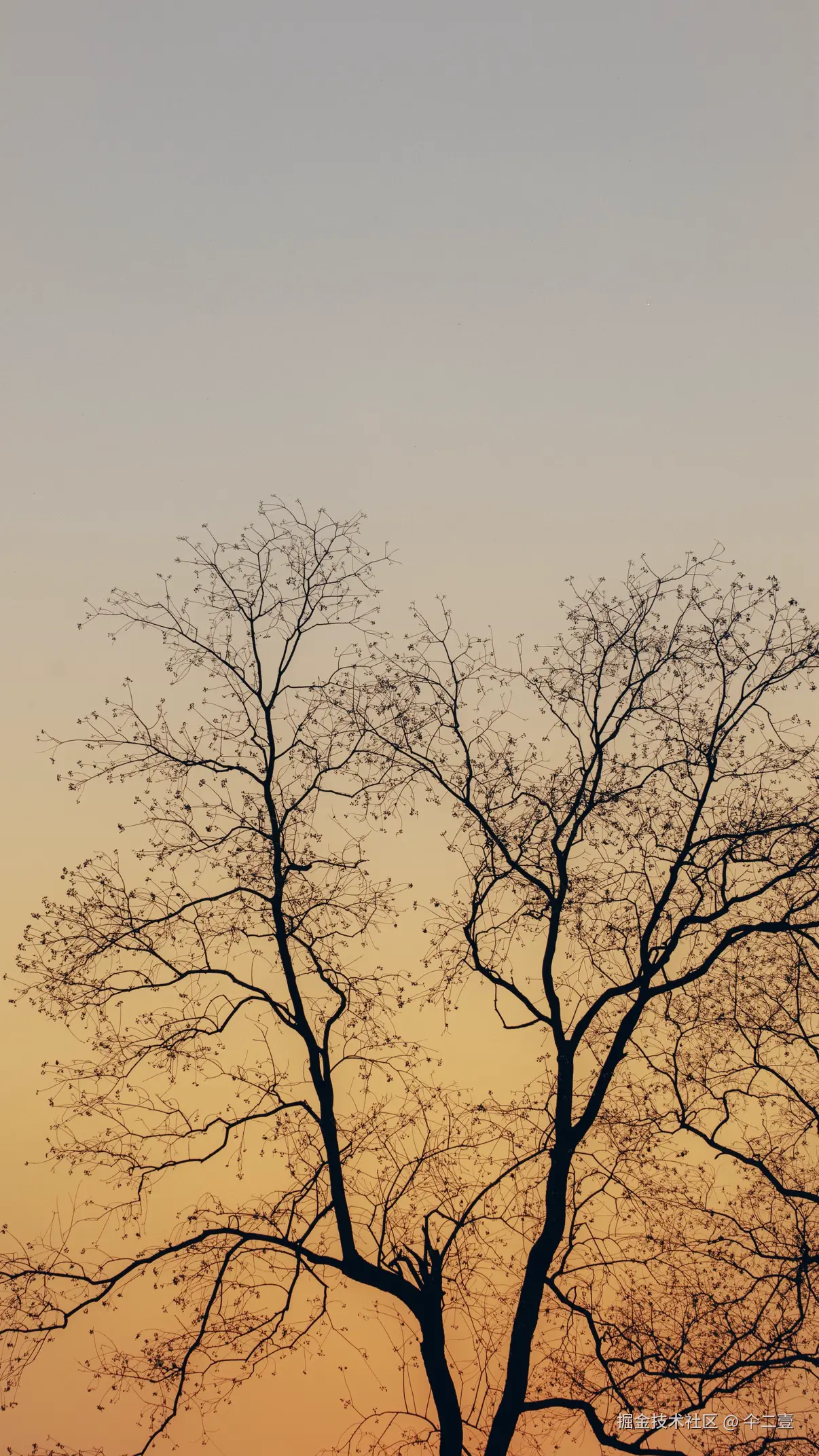 仐二壹于2025-12-08 10:14发布的图片