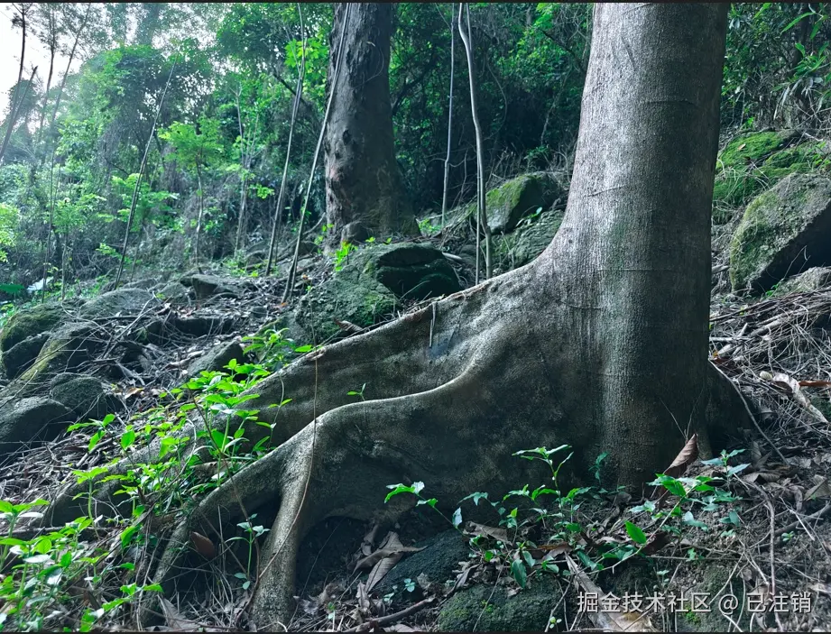 已注销于2024-08-05 15:35发布的图片