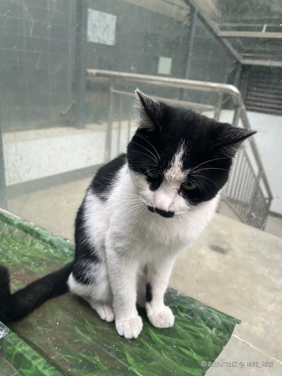 单纯_稀饭于2025-09-10 08:17发布的图片