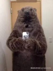 HolyKillin于2025-11-20 11:53发布的图片