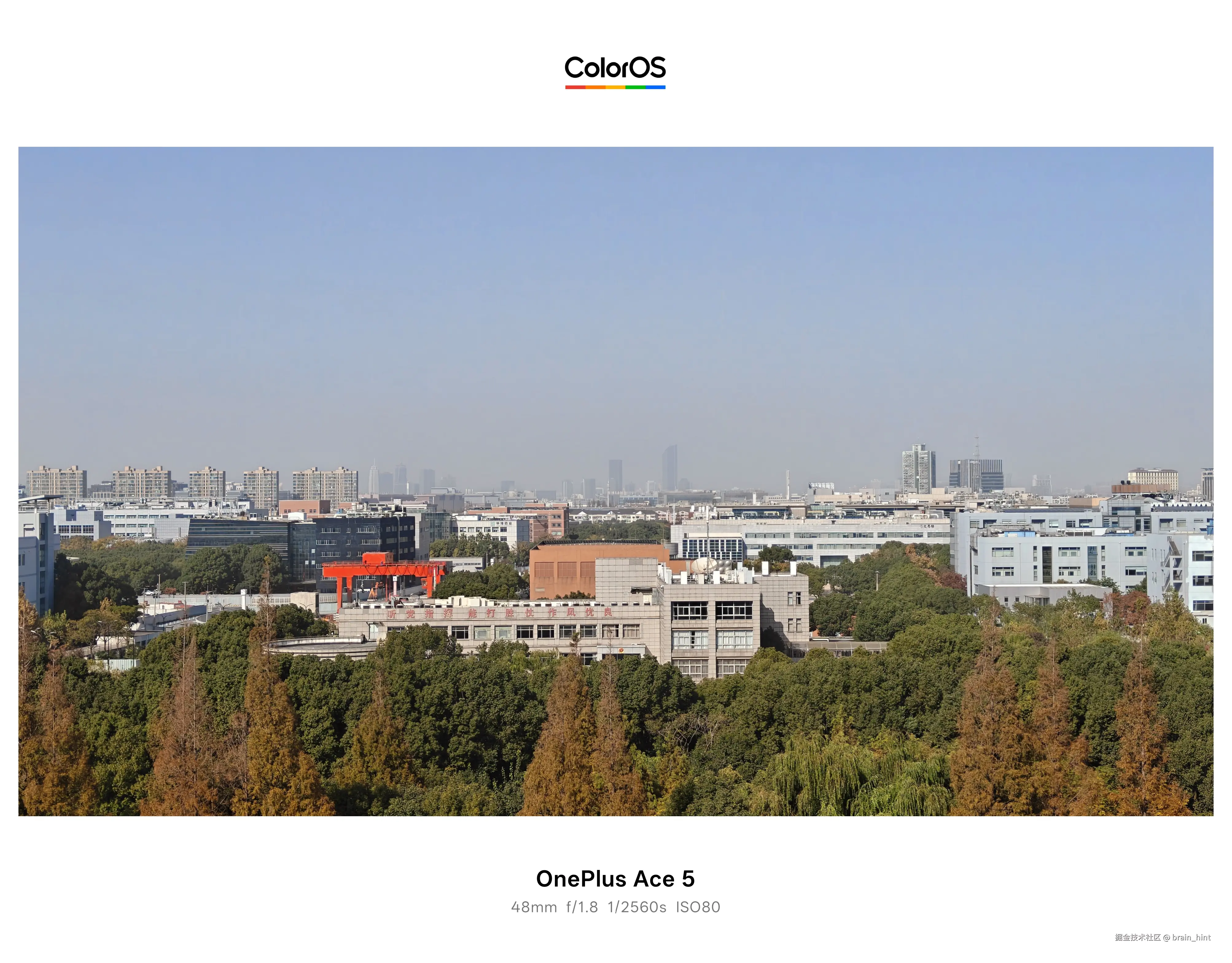 brain_hint于2025-11-28 05:11发布的图片