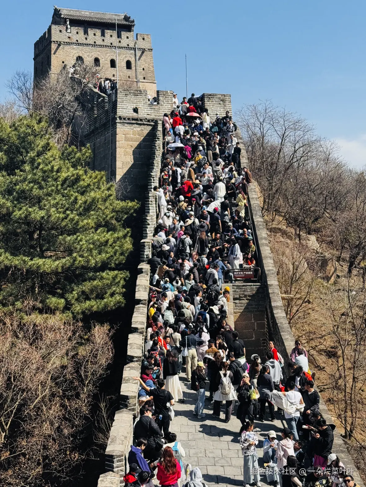 一朵烂菜叶叶于2026-04-13 11:05发布的图片