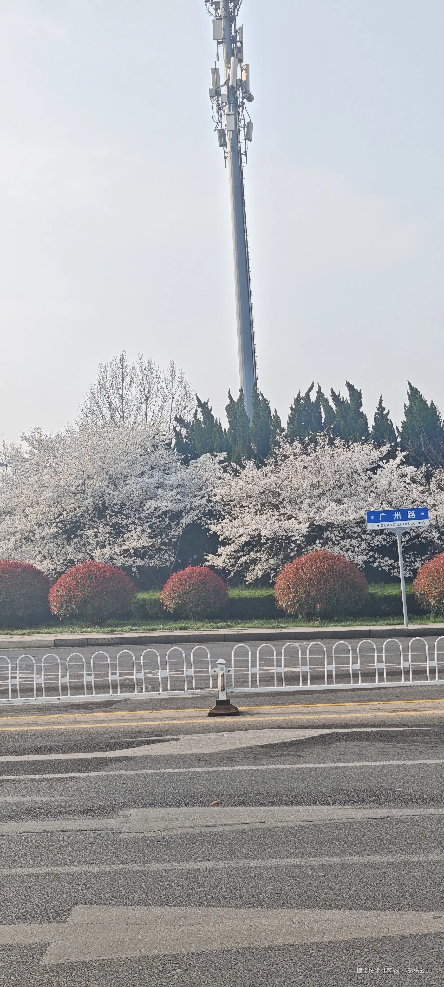 小熊猫幺儿于2026-03-29 14:54发布的图片