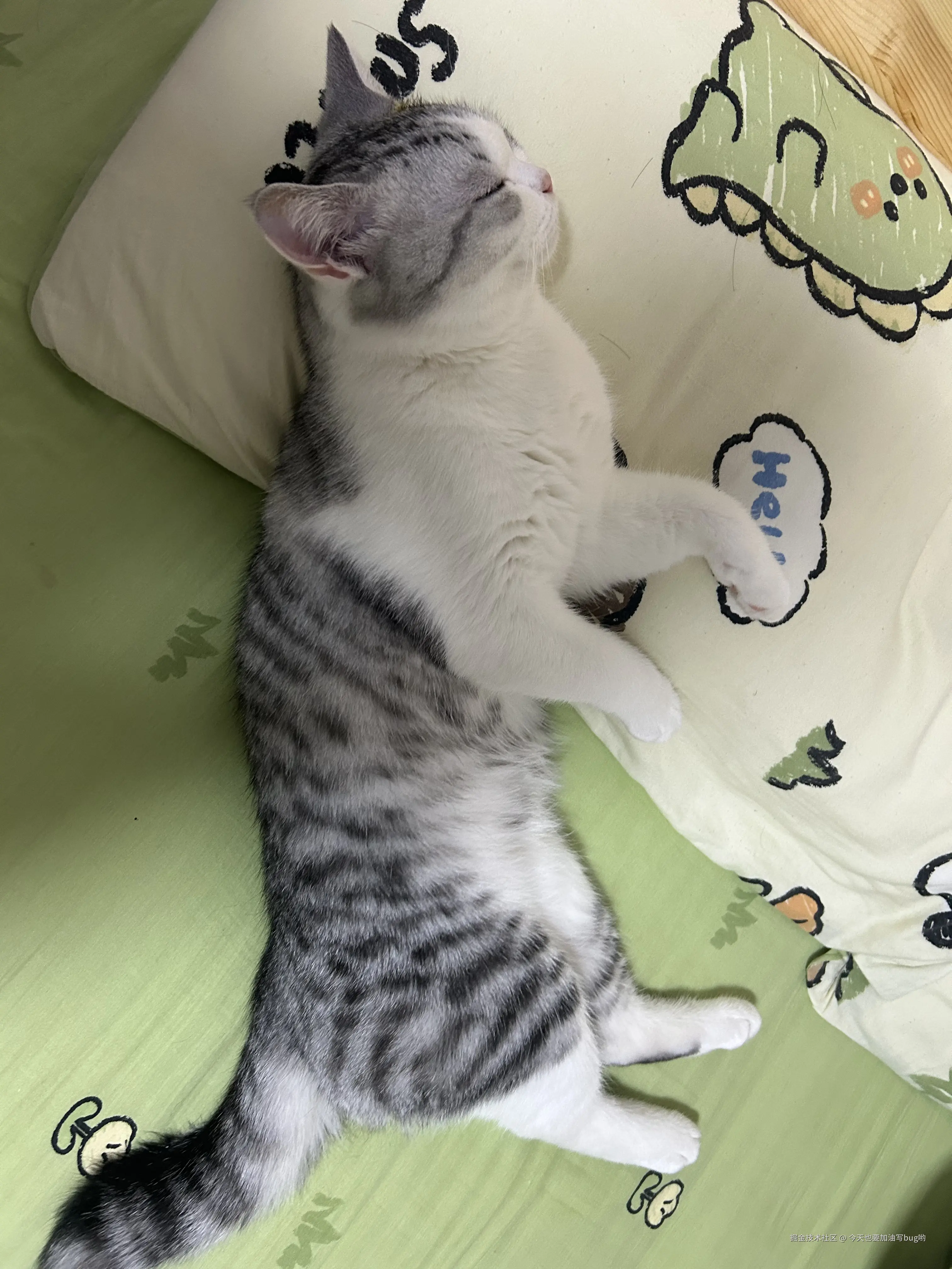 今天也要加油写bug哟于2025-12-16 14:14发布的图片