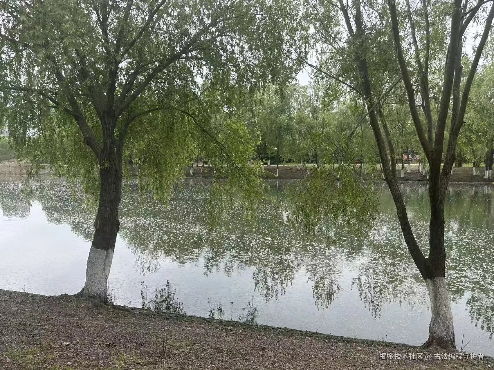 古法编程守护者于2026-04-13 14:34发布的图片