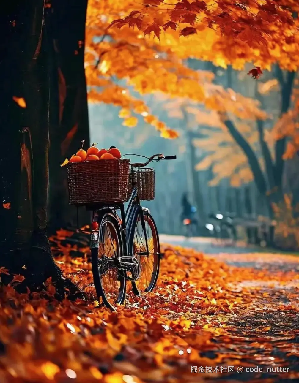 code_nutter于2024-09-26 08:51发布的图片