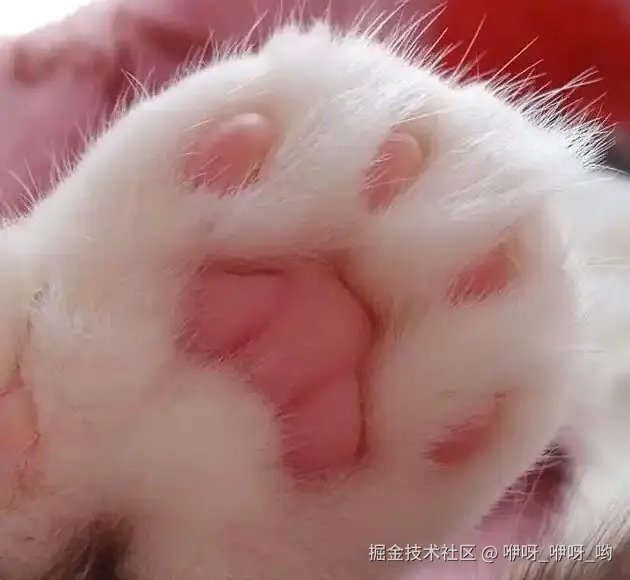 咿呀_咿呀_哟于2025-01-03 16:33发布的图片