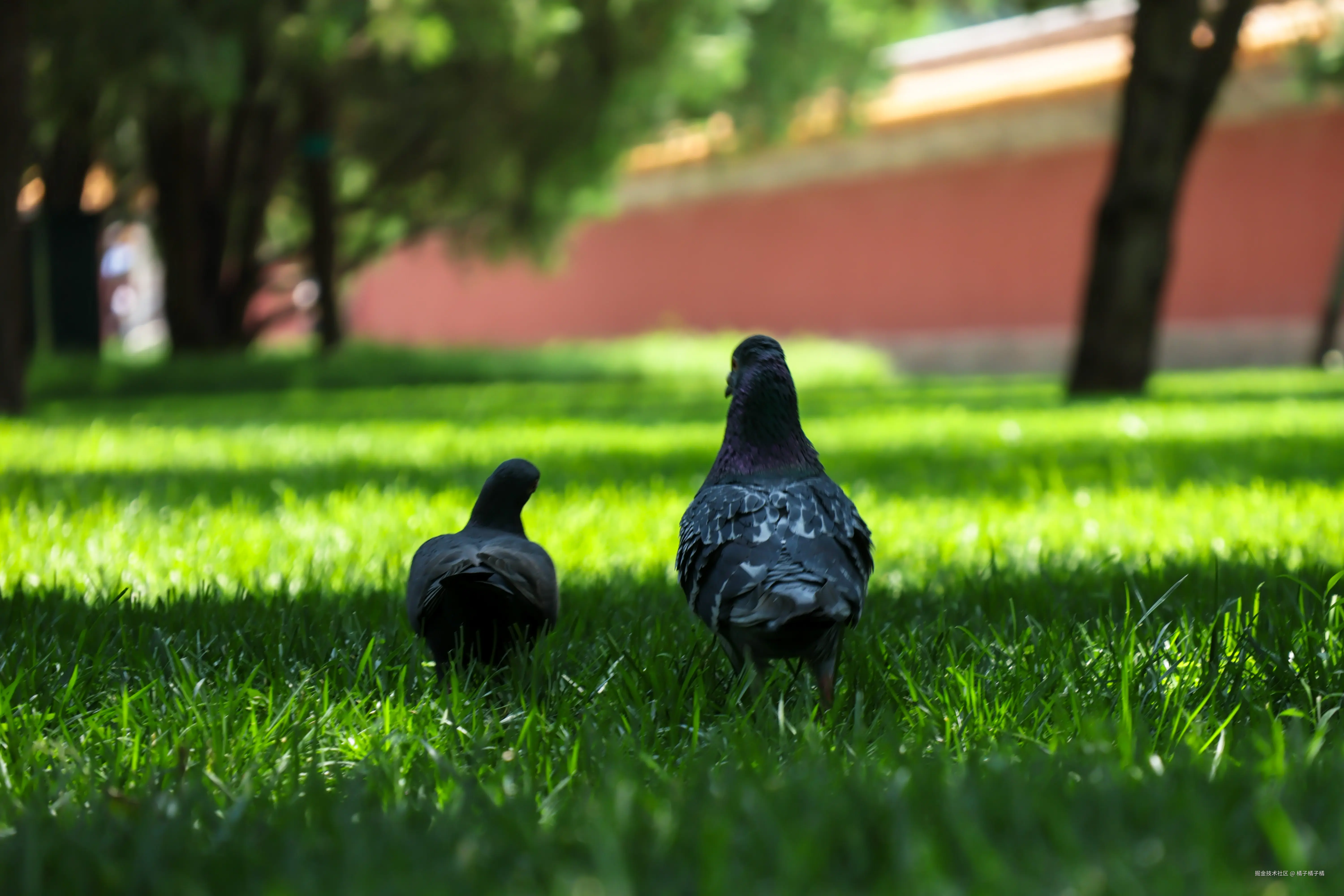 橘子橘子橘于2025-09-23 15:46发布的图片