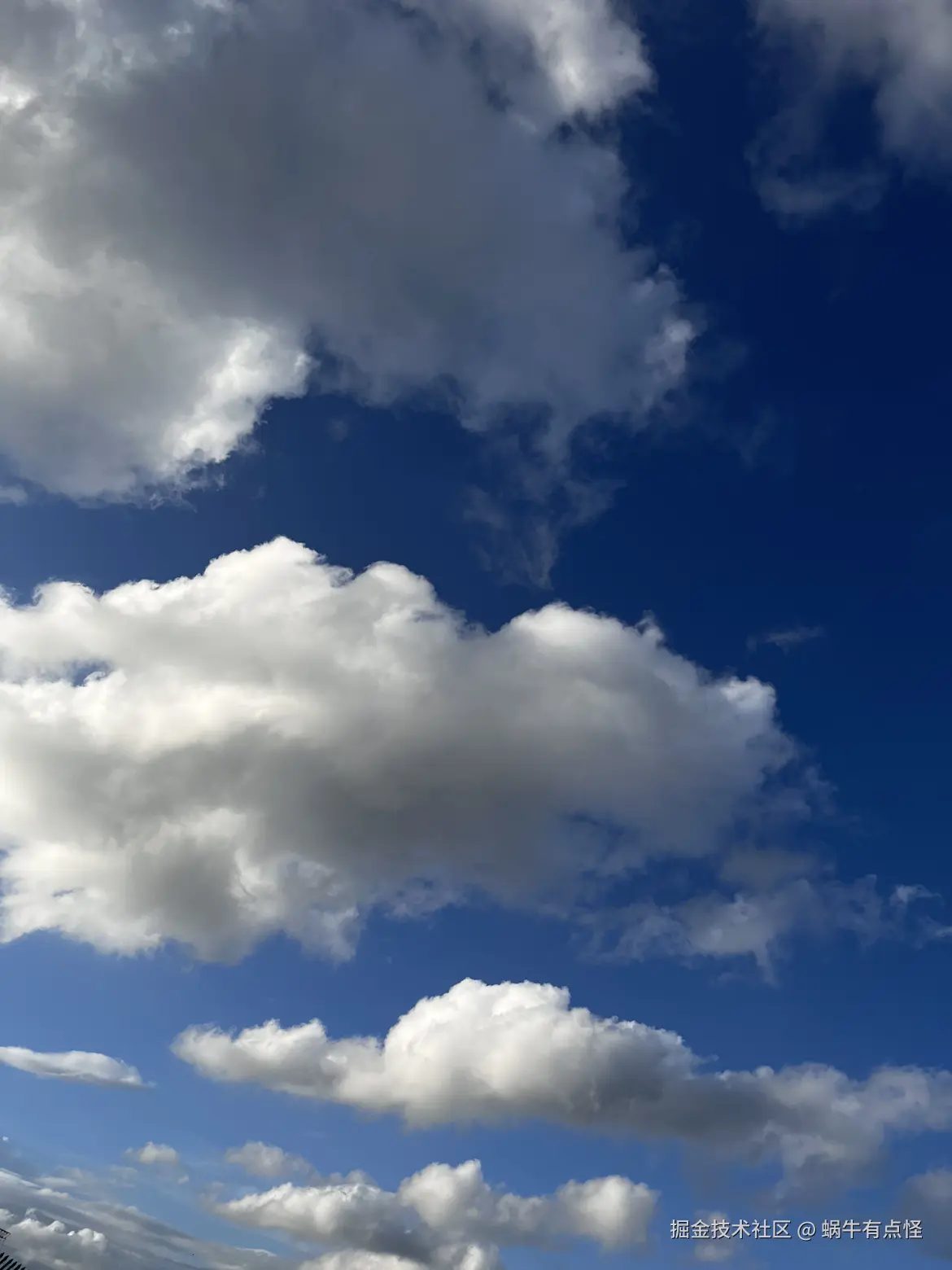 蜗牛有点怪于2024-11-20 11:24发布的图片