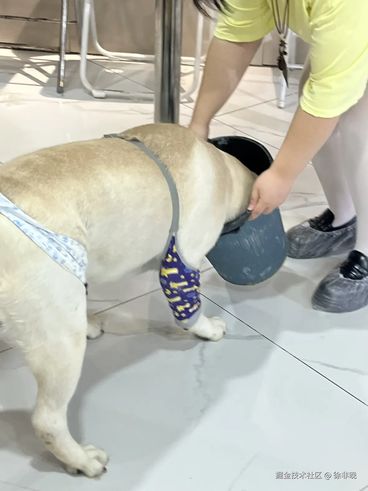 徐非晚于2025-05-27 11:15发布的图片