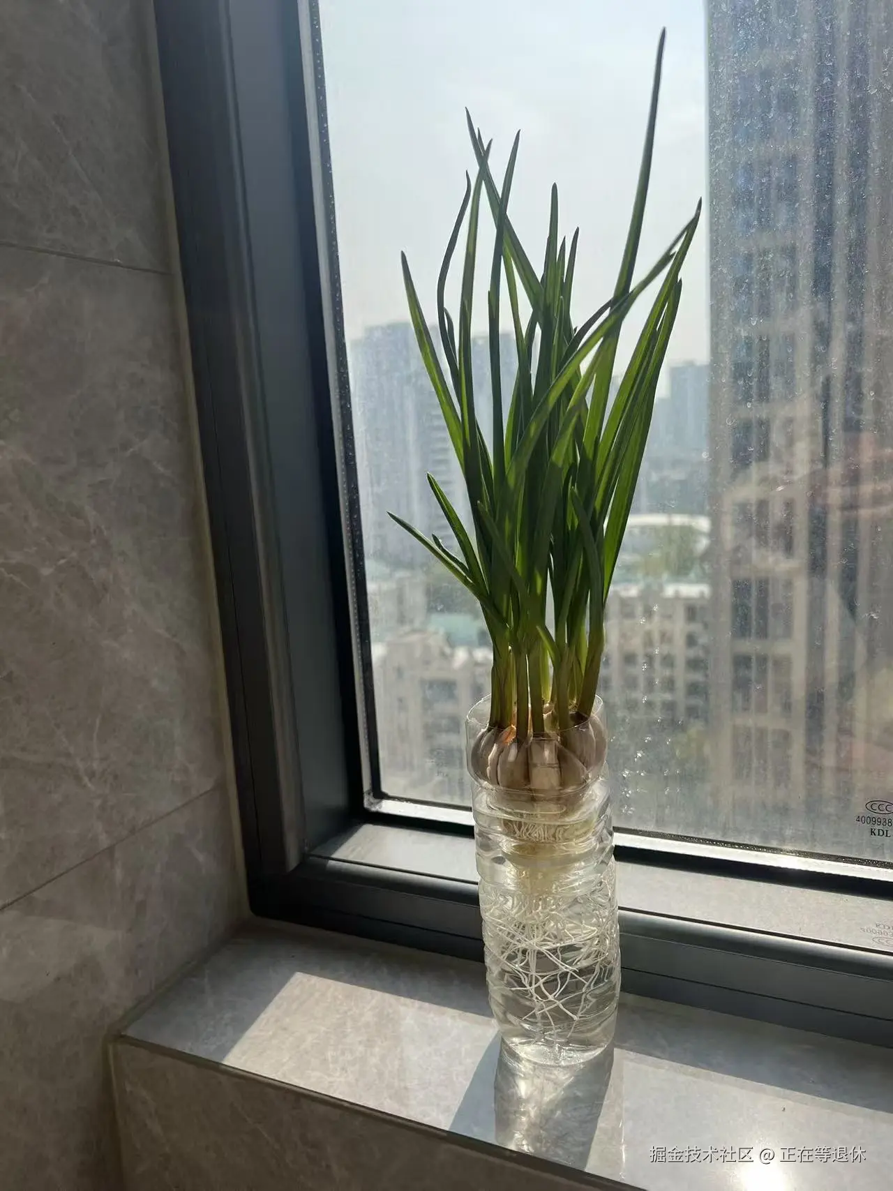 正在等退休于2025-11-04 15:49发布的图片