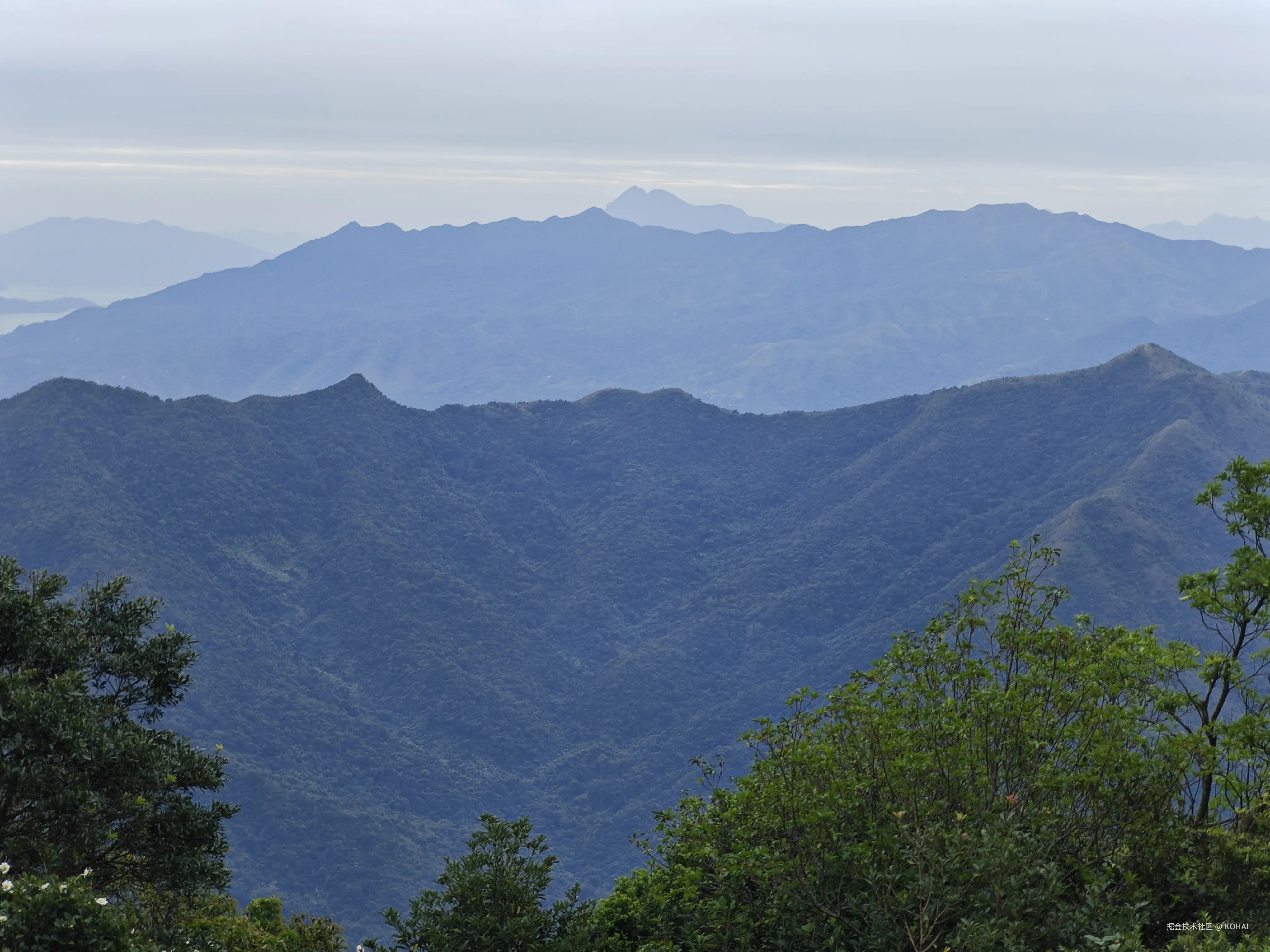 KOHAI于2025-12-01 13:09发布的图片