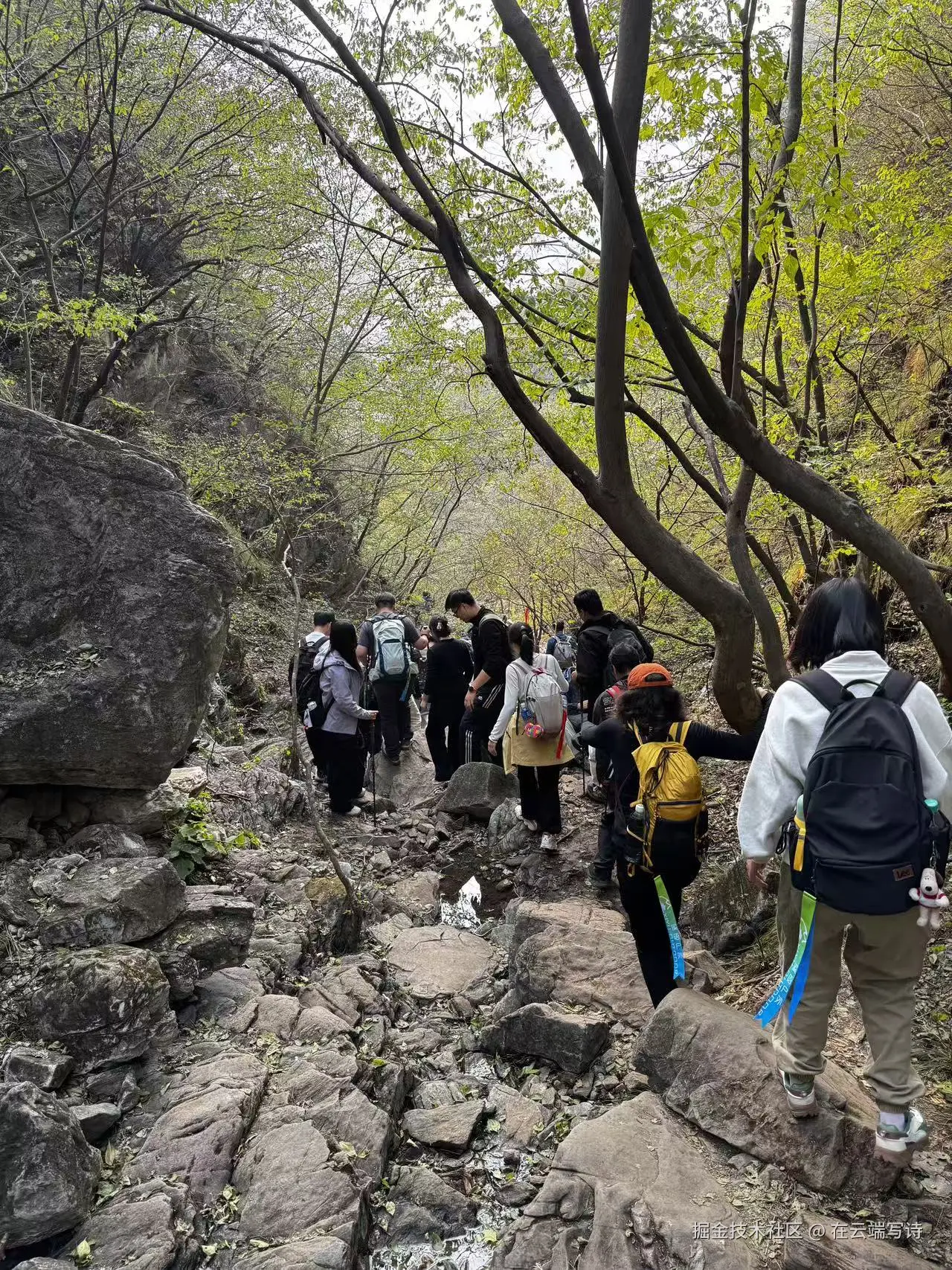 在云端写诗于2025-10-27 10:27发布的图片