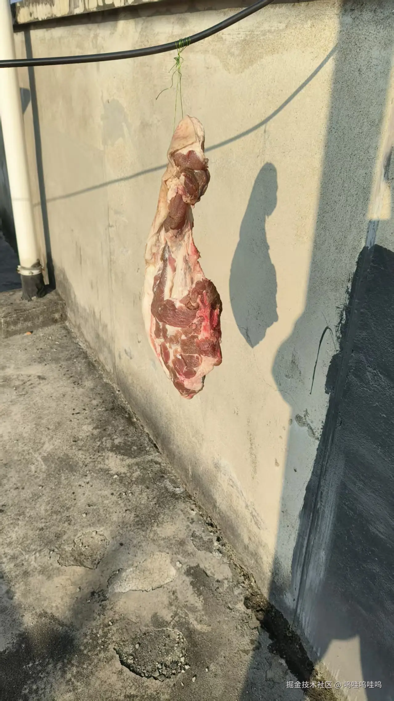 呜哇呜哇呜于2026-01-07 09:57发布的图片