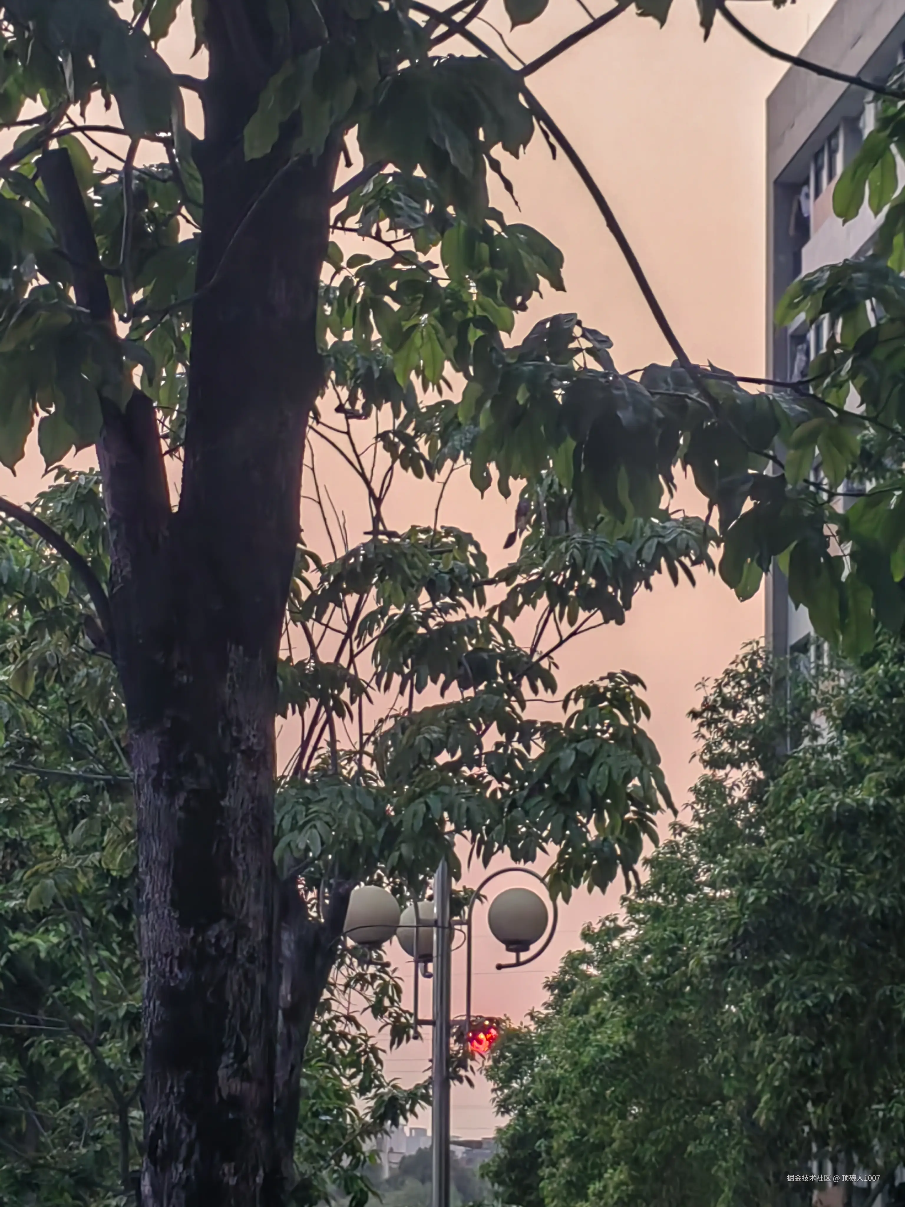 顶碗人1007于2025-04-11 03:35发布的图片