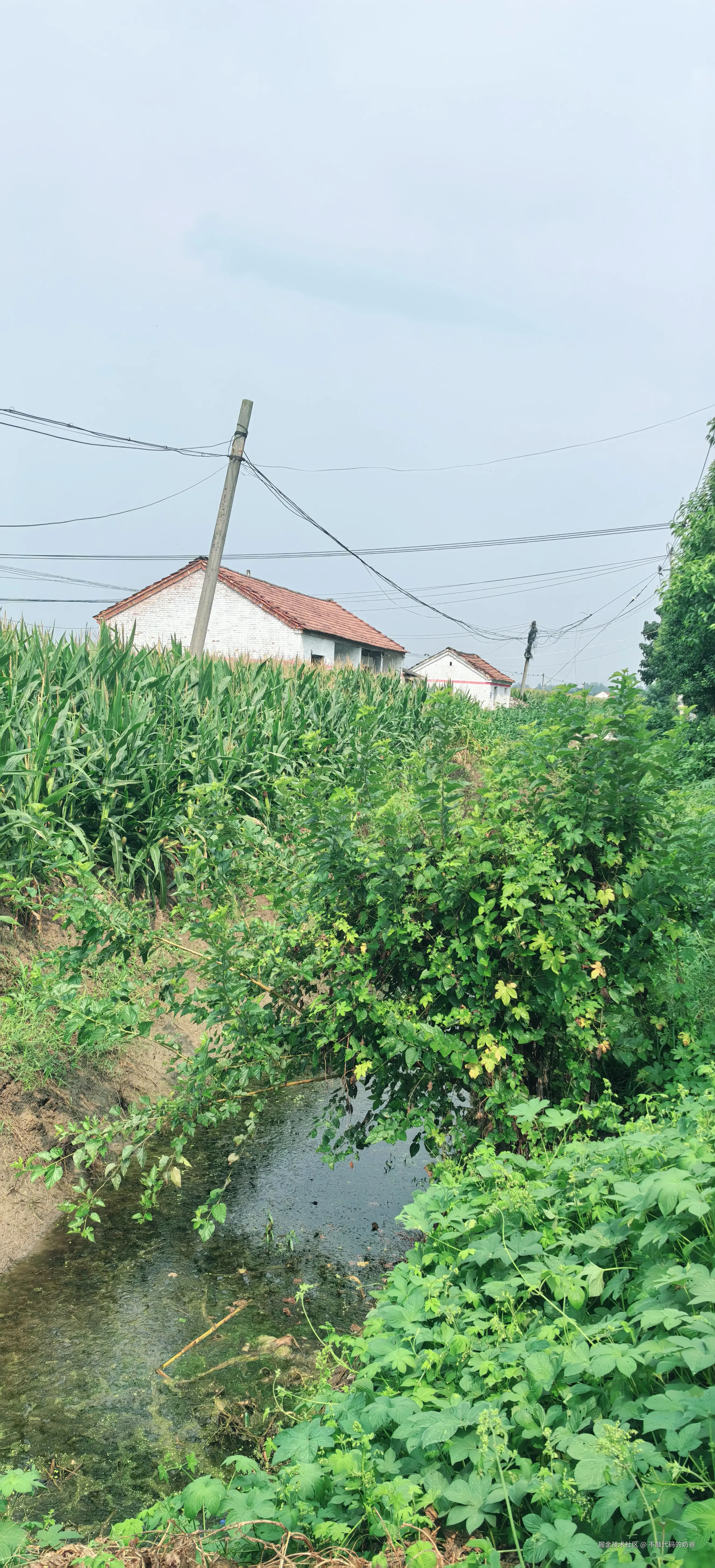 不敲代码的奶爸于2024-08-25 08:49发布的图片