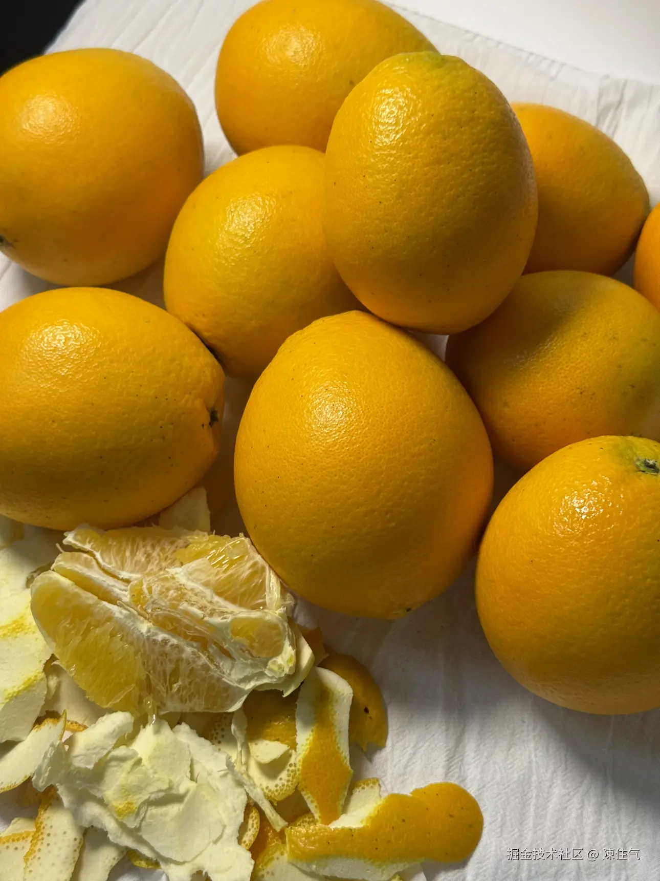 陳住气于2024-11-19 16:58发布的图片