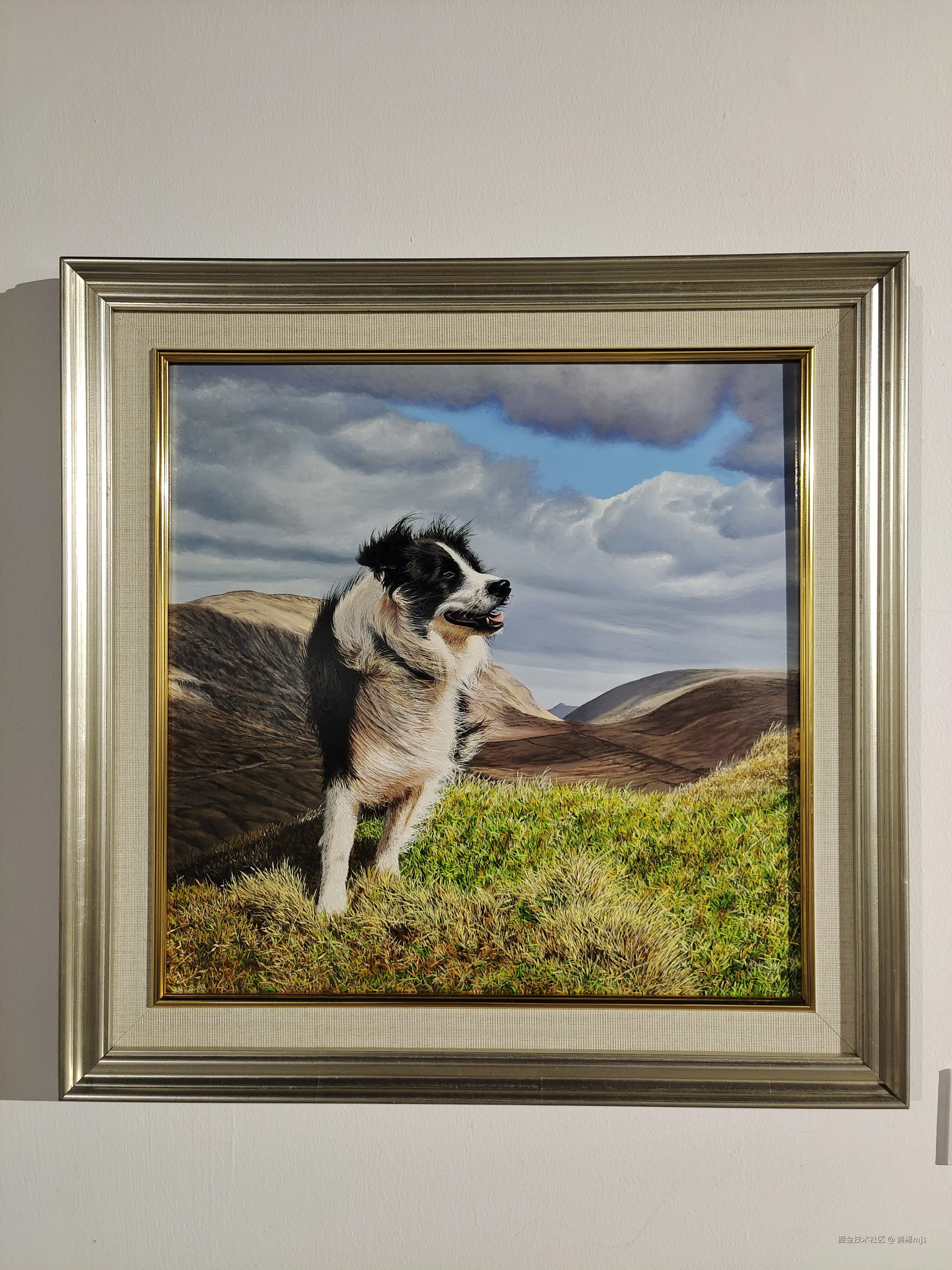 黄彬mjs于2024-08-25 10:32发布的图片