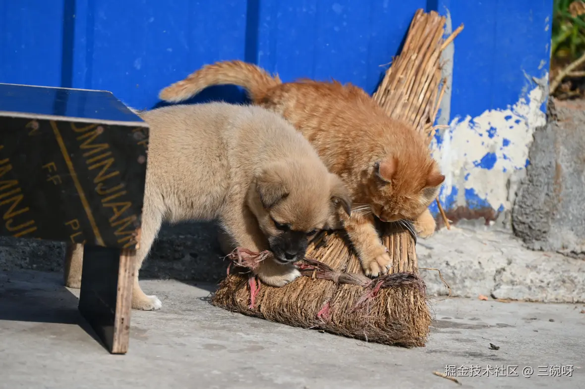 三碗呀于2025-01-13 16:23发布的图片