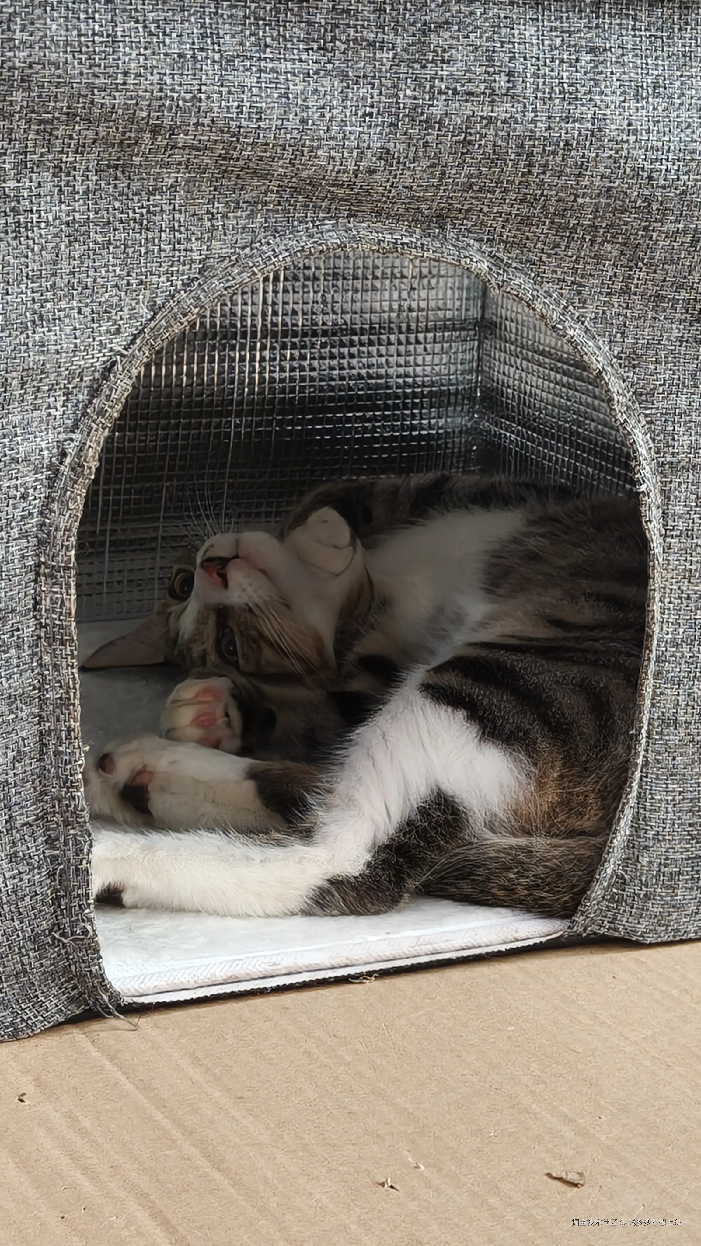 钱多多不想上班于2025-09-01 09:37发布的图片