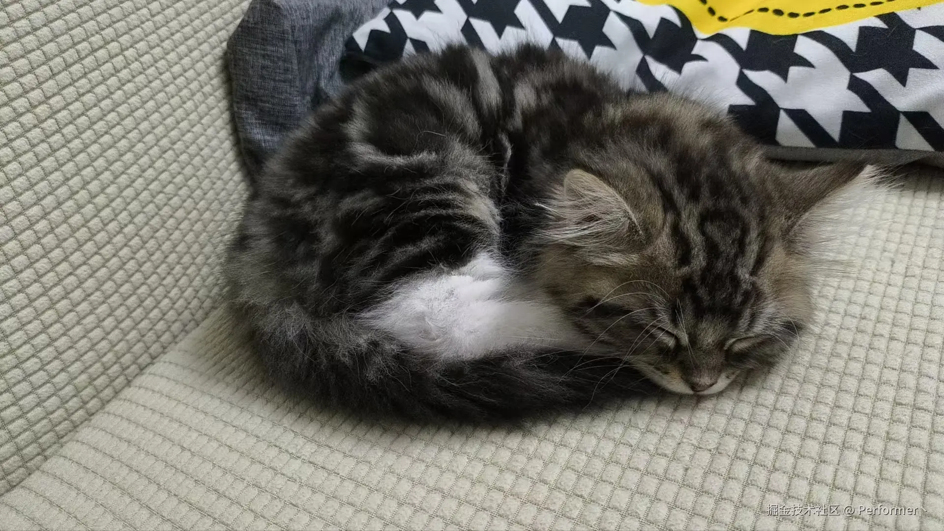 Performer丶于2024-09-11 17:14发布的图片