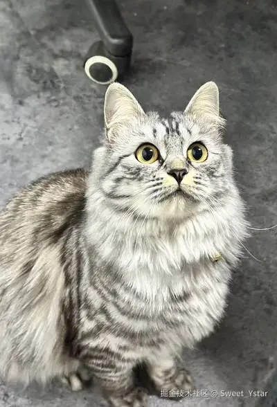 Sweet_Ystar于2026-04-02 10:53发布的图片