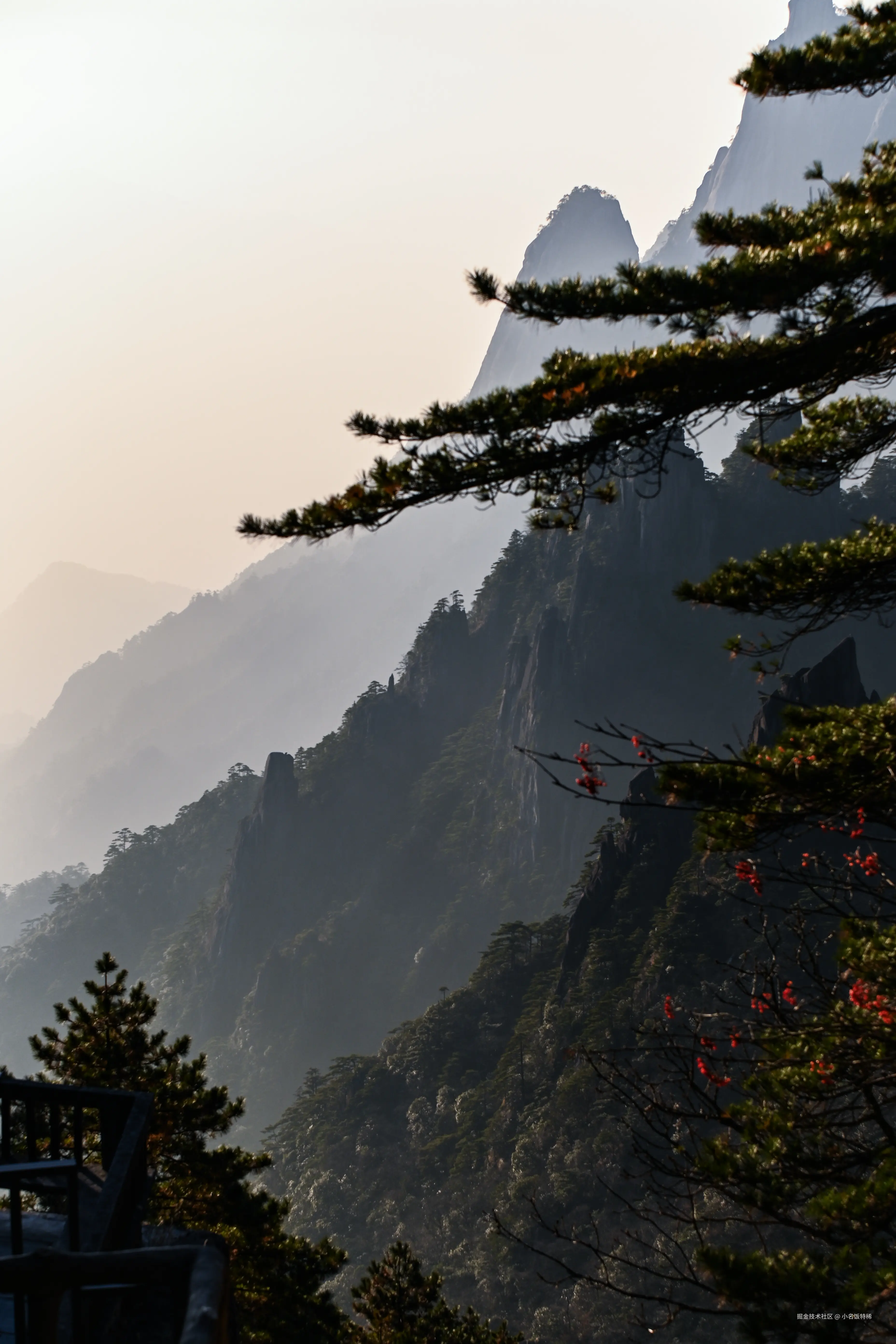 小名饭特稀于2025-12-10 10:41发布的图片