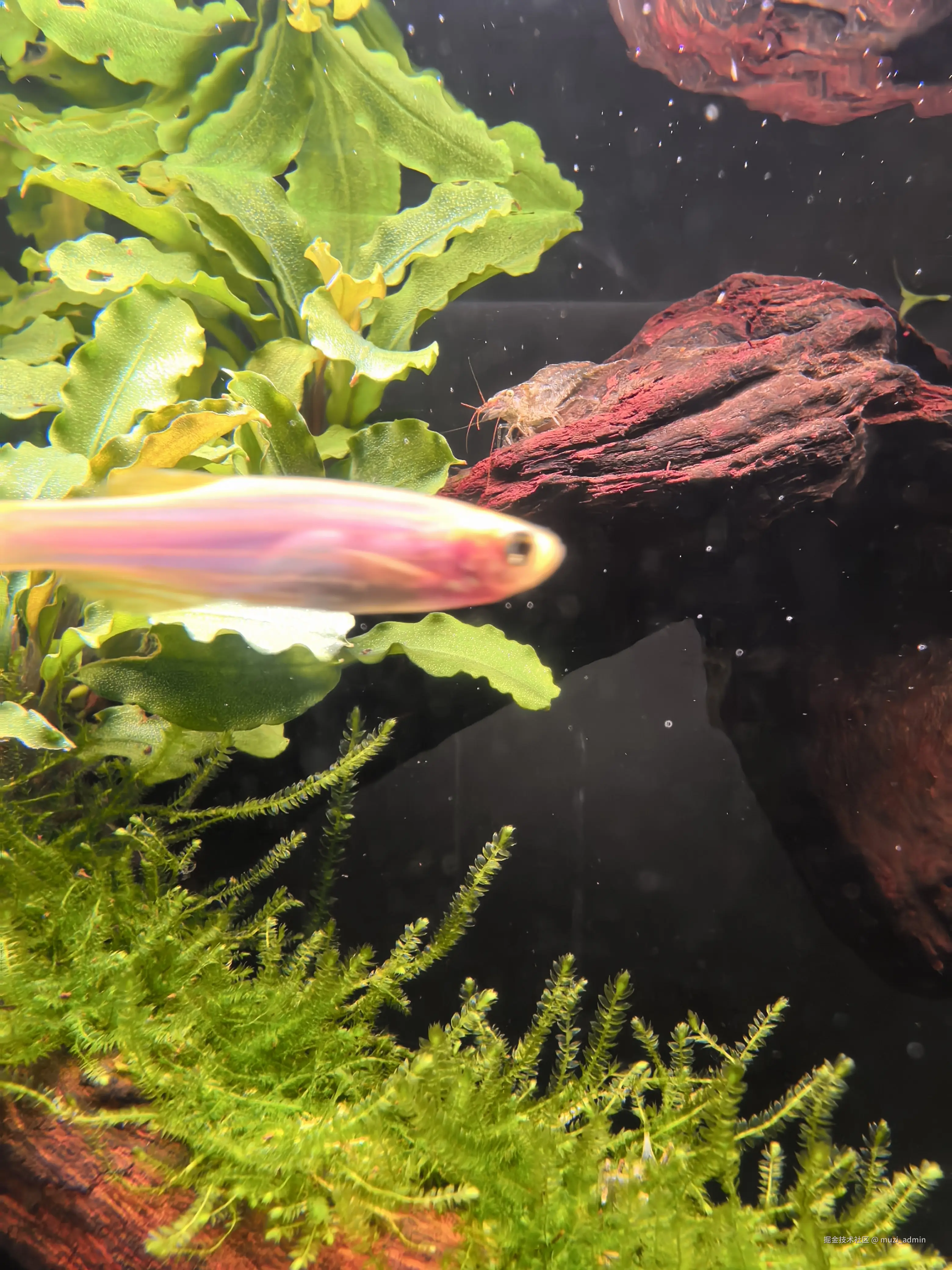 muzi_admin于2026-04-18 15:15发布的图片