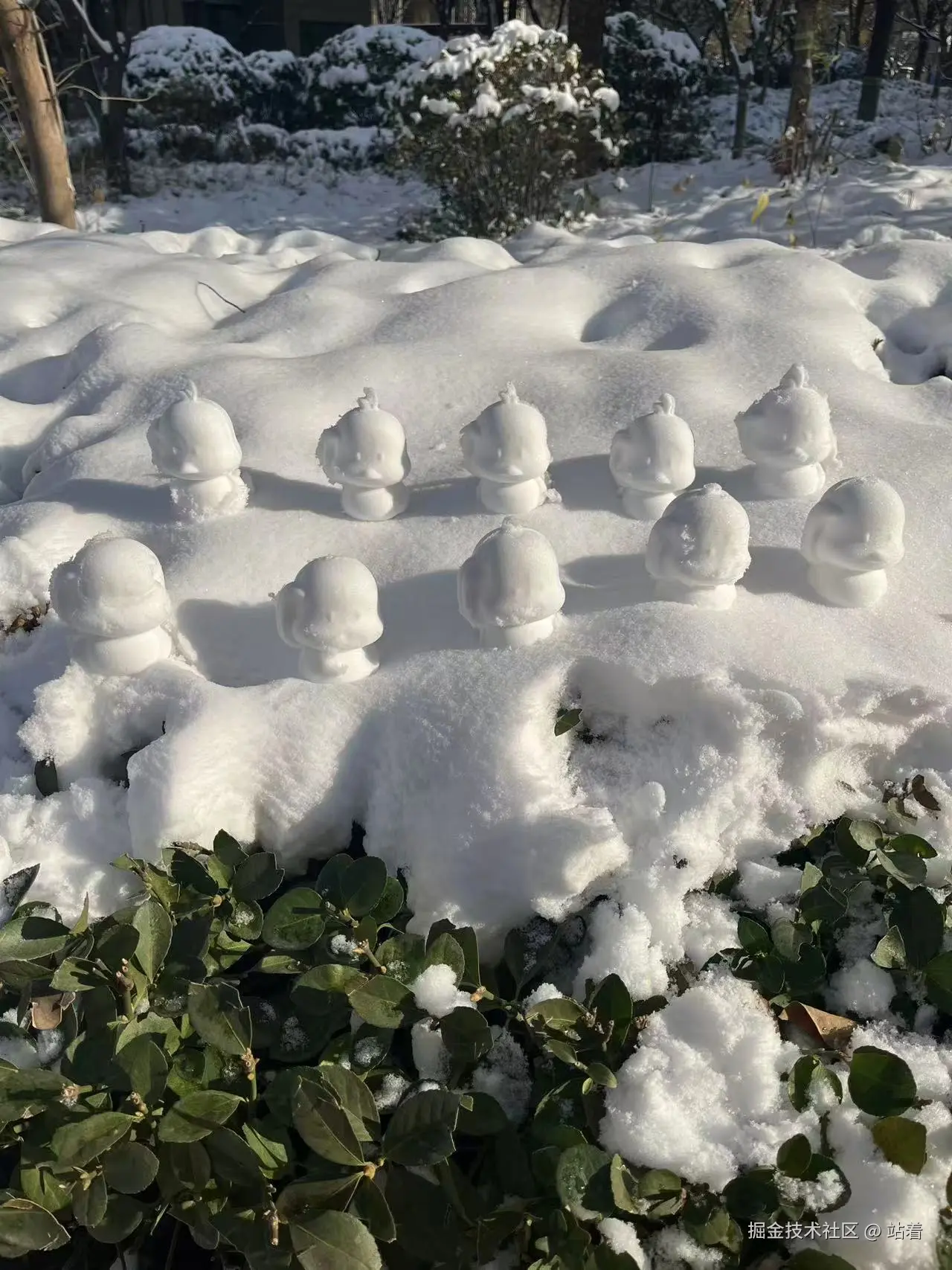 站着于2025-12-13 10:51发布的图片