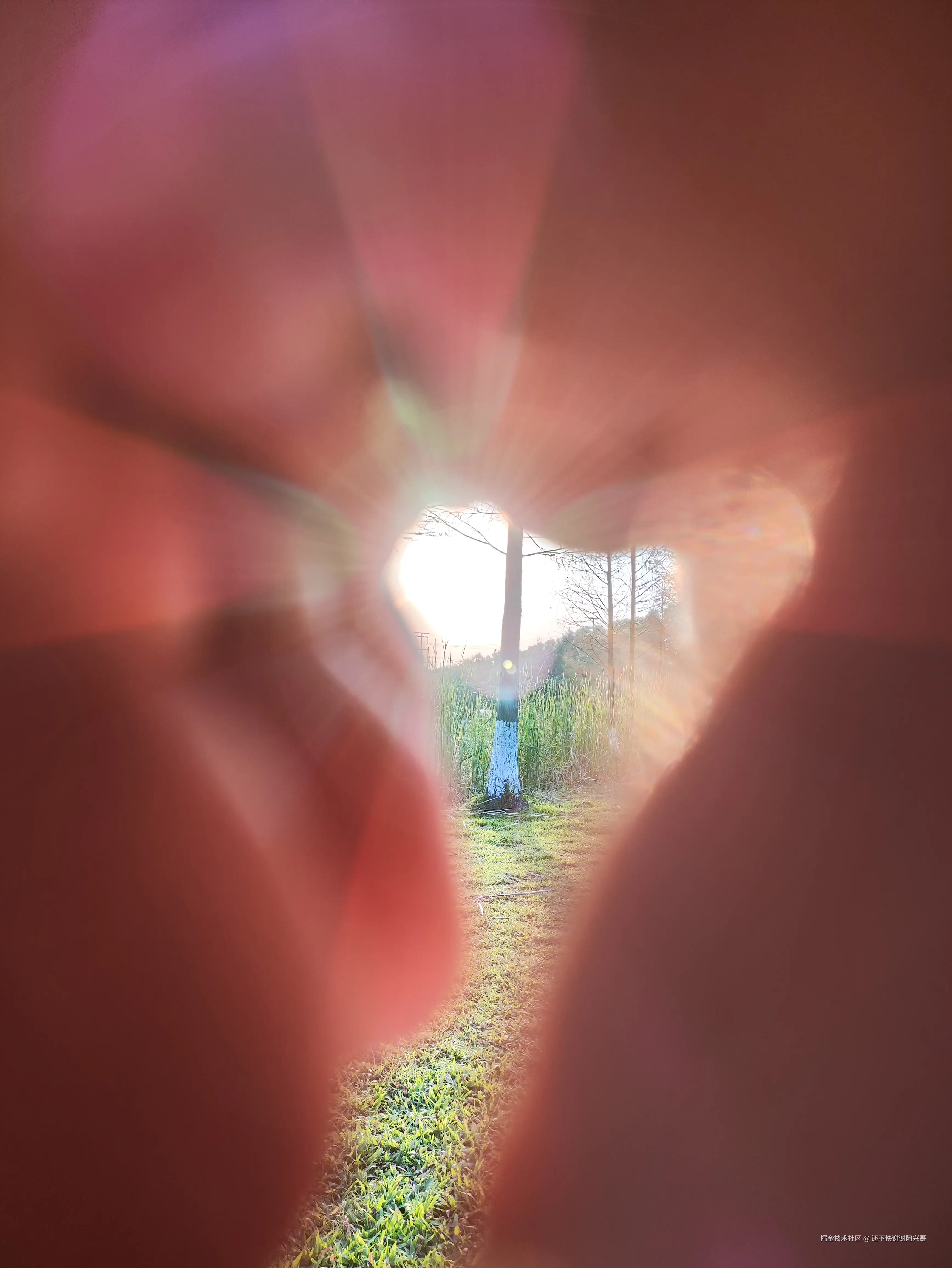 还不快谢谢阿兴哥于2025-04-07 11:14发布的图片